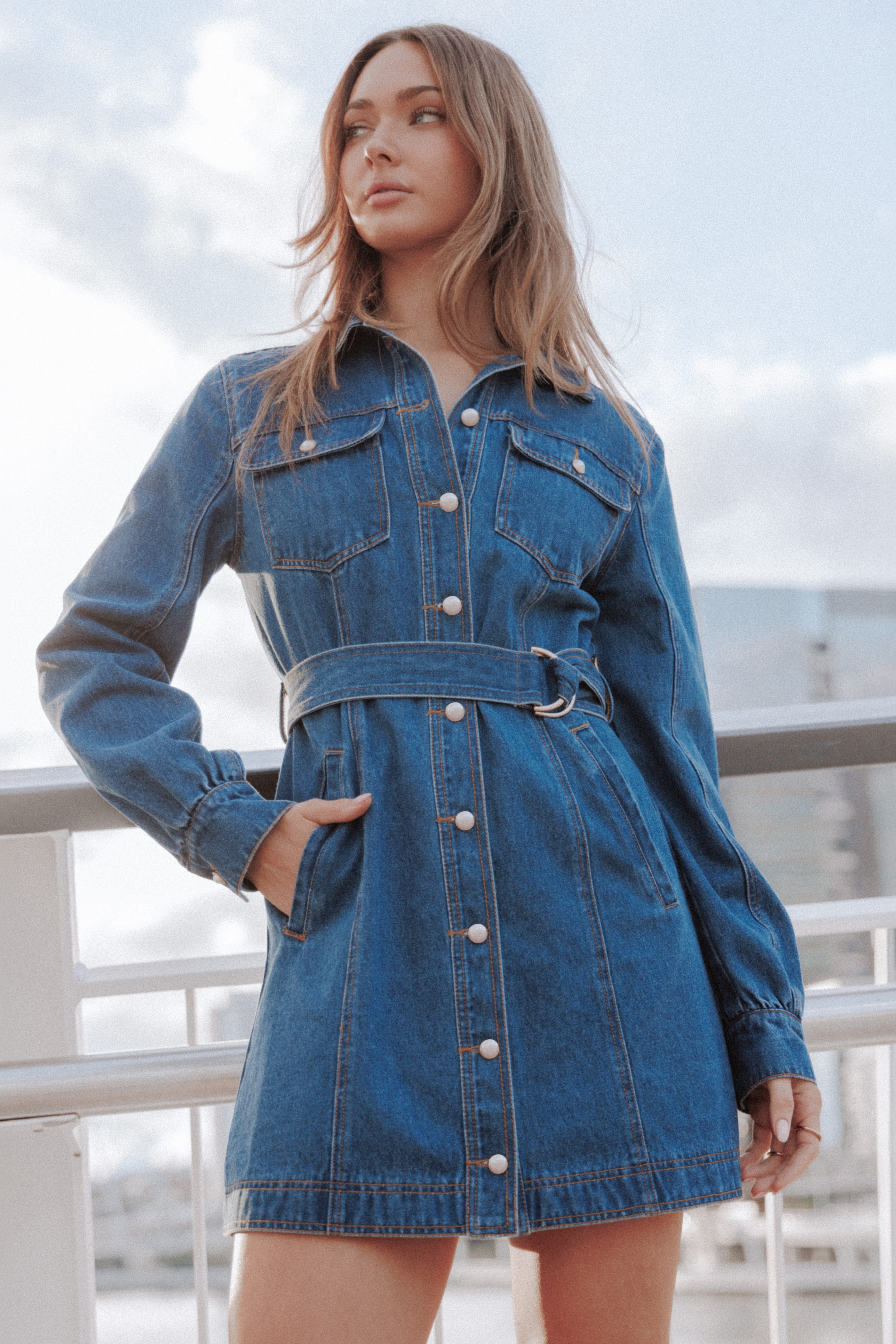 DRESSES Robina Long Sleeve Mini Dress - Indigo Denim