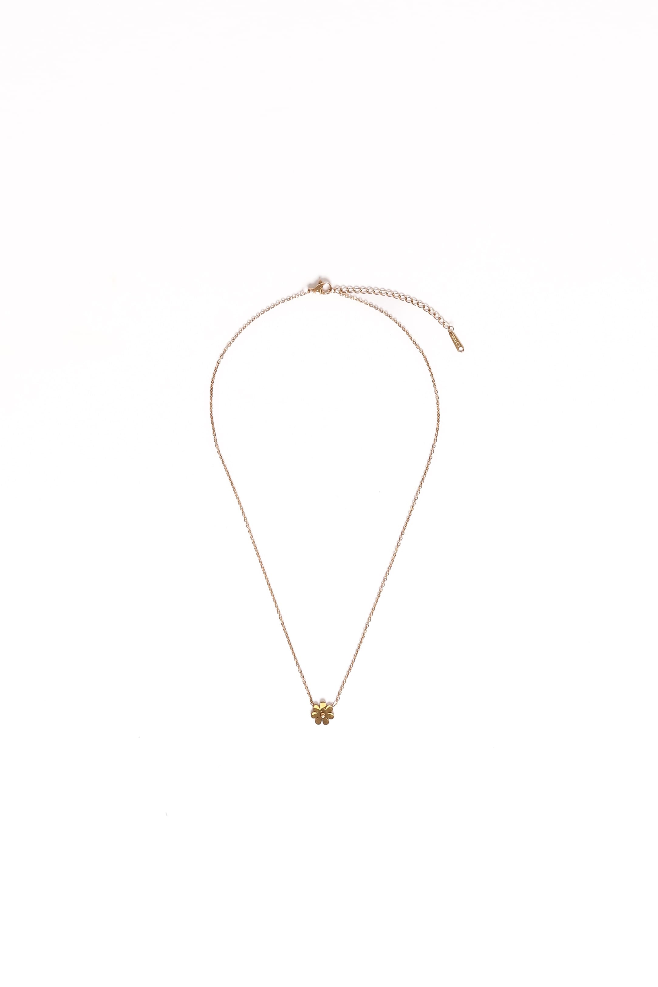 ACCESSORIES Skye Necklace - Gold