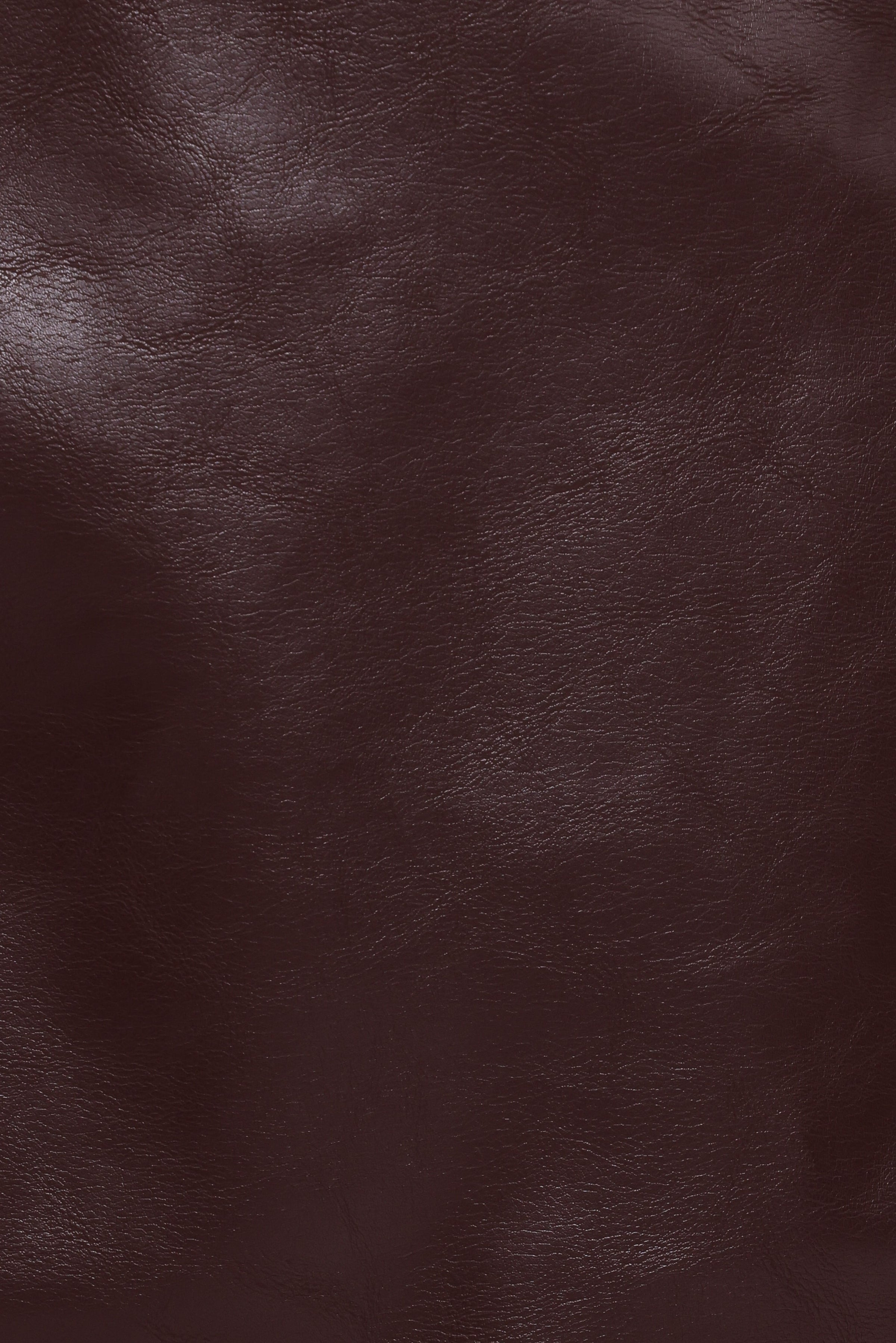 BOTTOMS Parker Faux Leather Mini Skirt - Burgundy