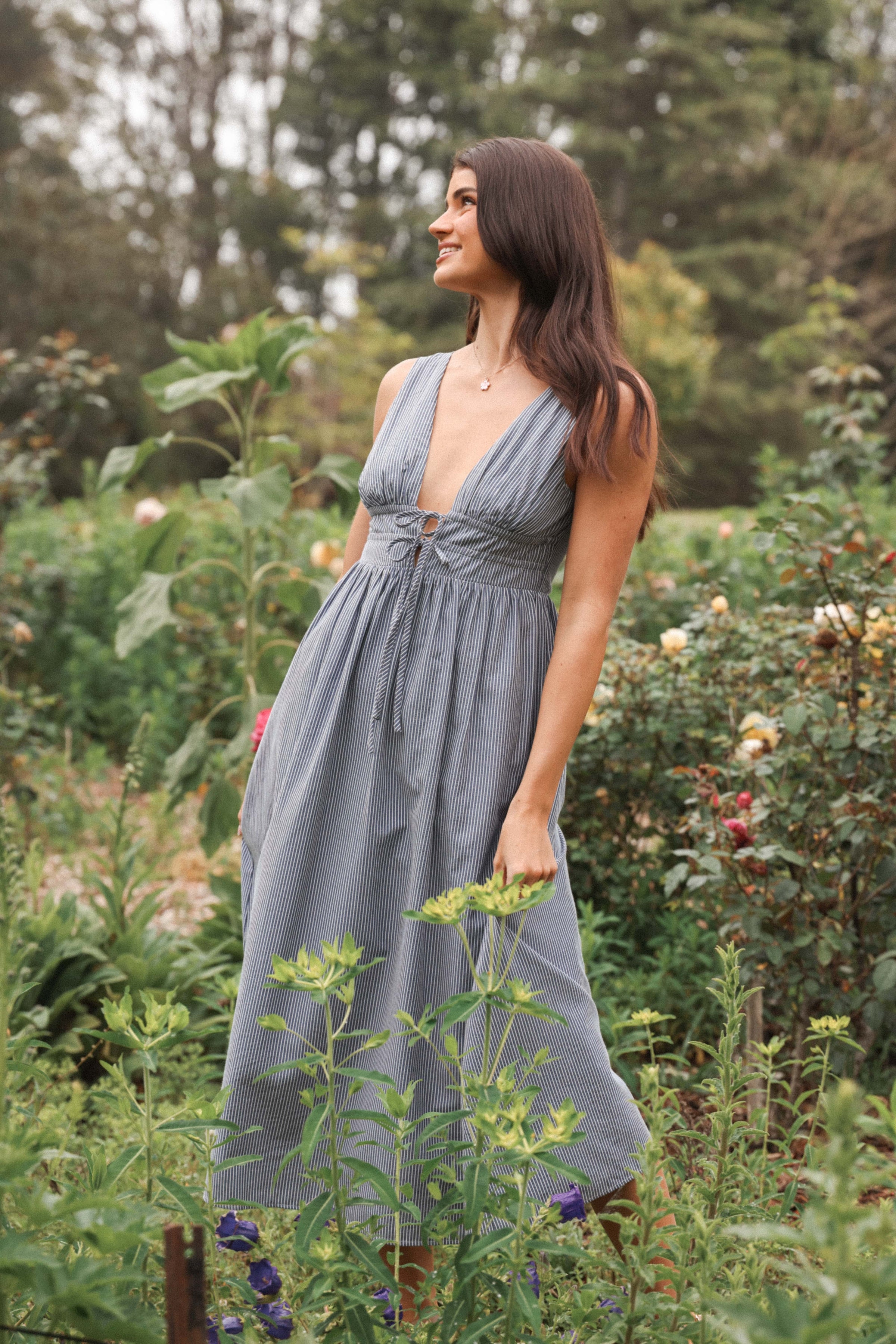 DRESSES Annora Midi Dress - Navy Pinstripe