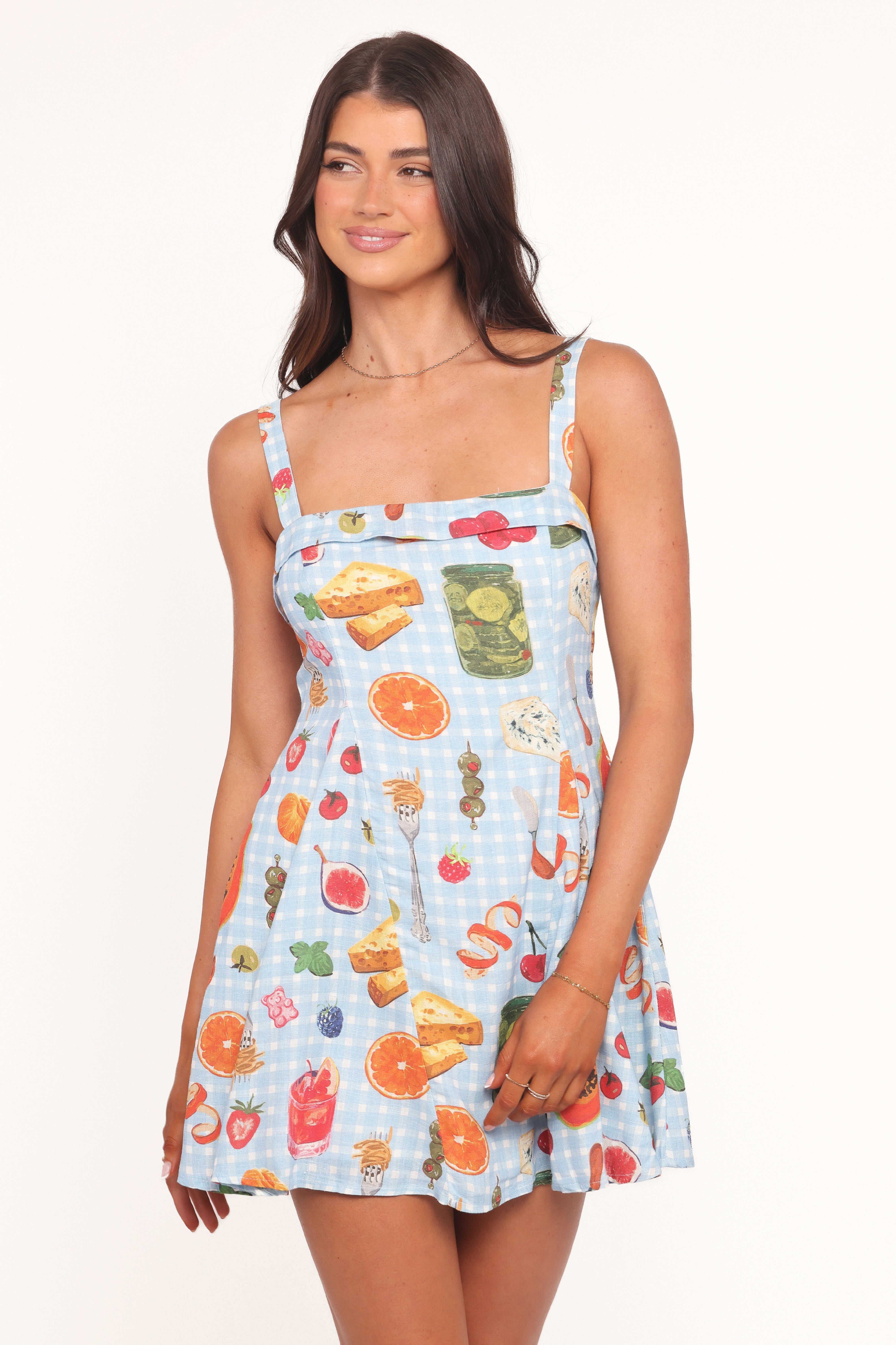 DRESSES Caitlin Mini Dress - Blue Picnic