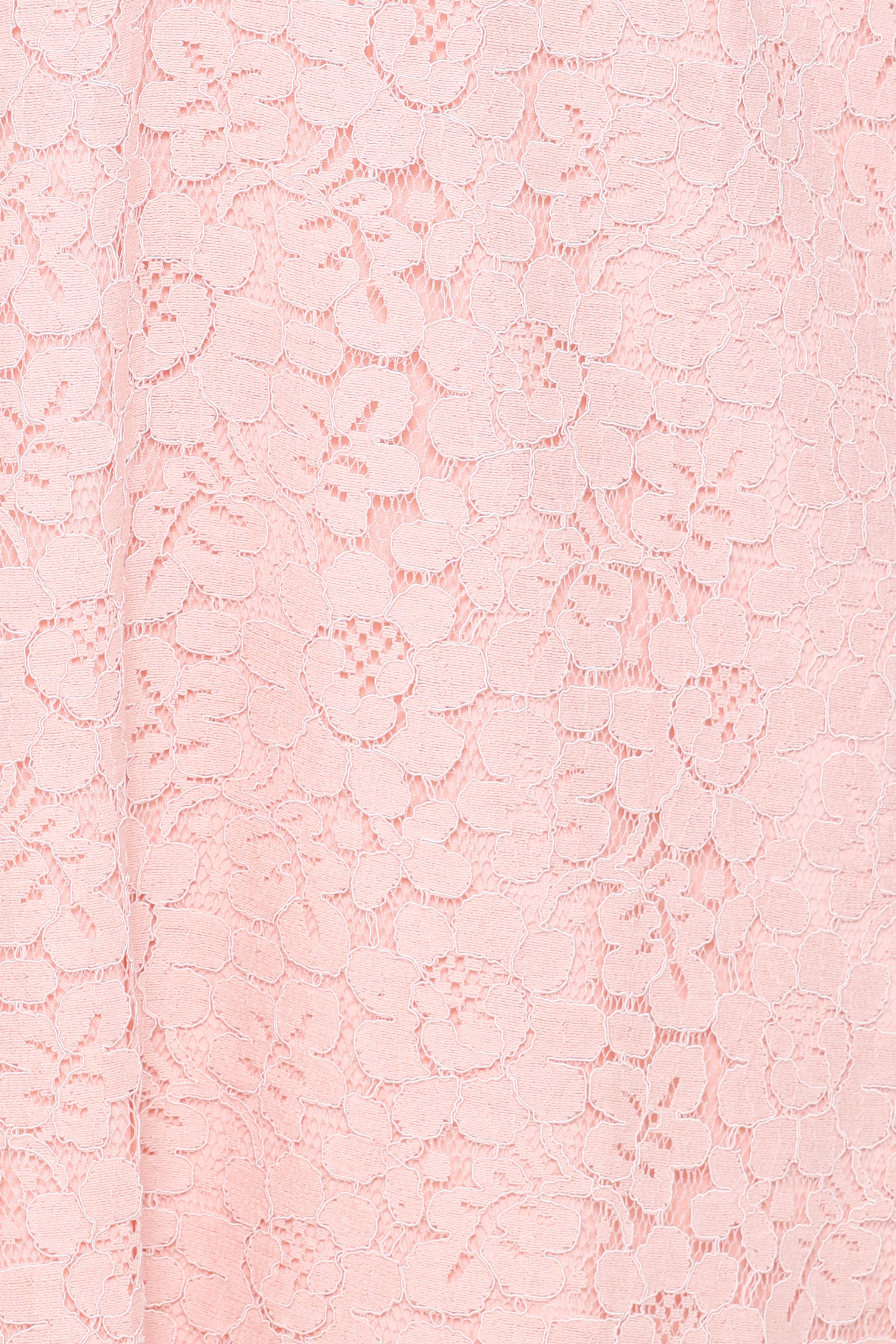 DRESSES Cidel Mini Dress - Pink Lace