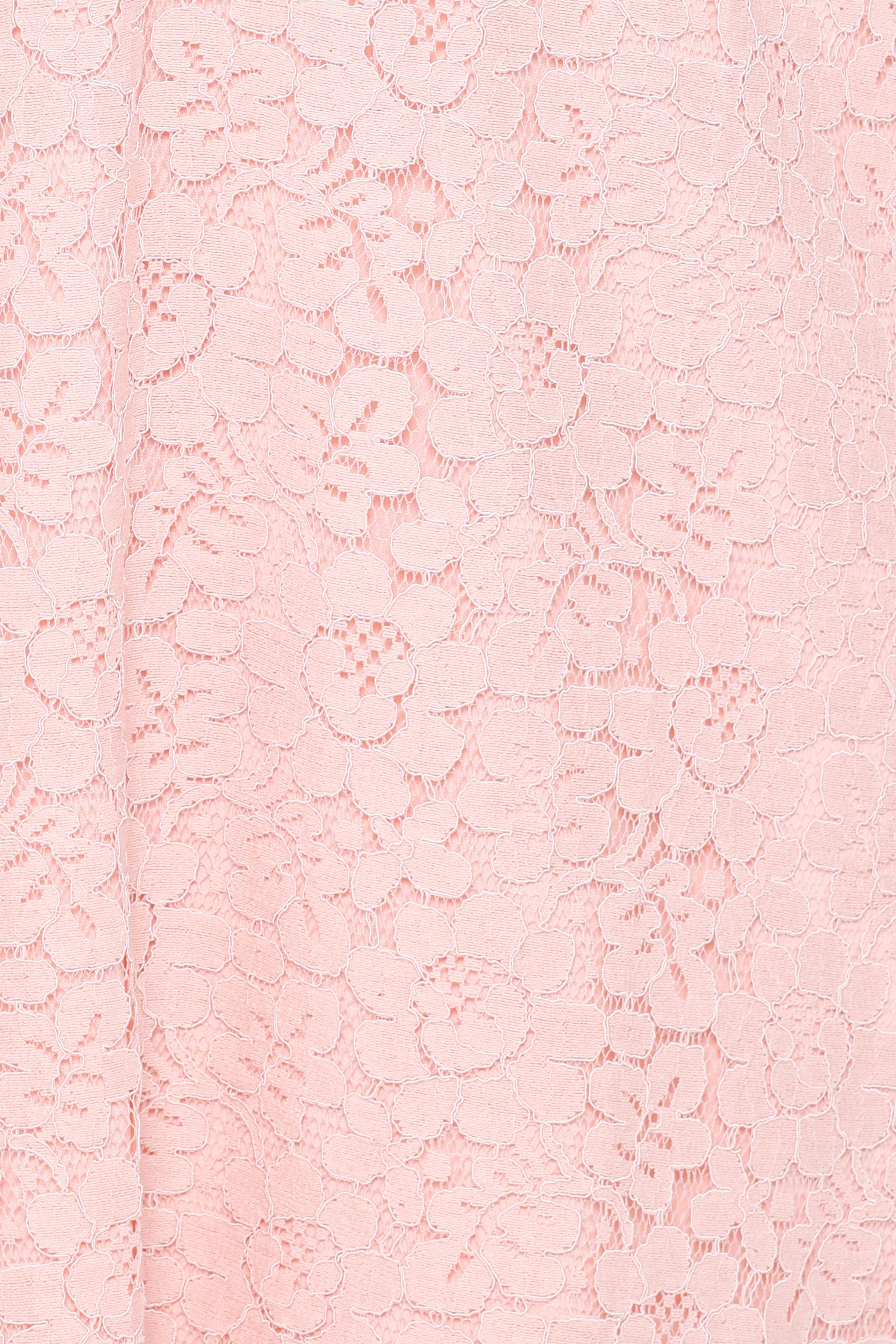 DRESSES Cidel Mini Dress - Pink Lace