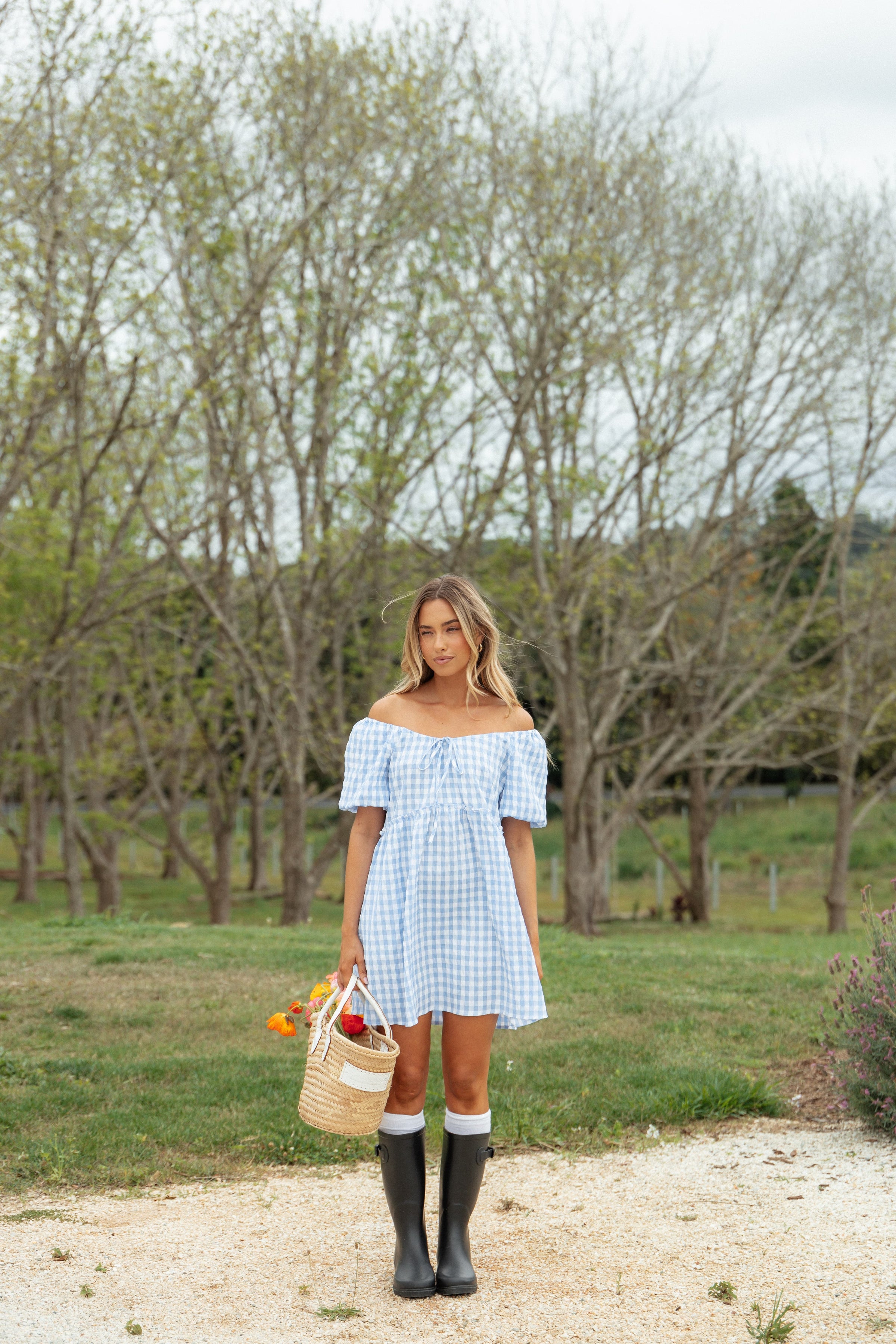 DRESSES Dorothea Mini Dress - Blue