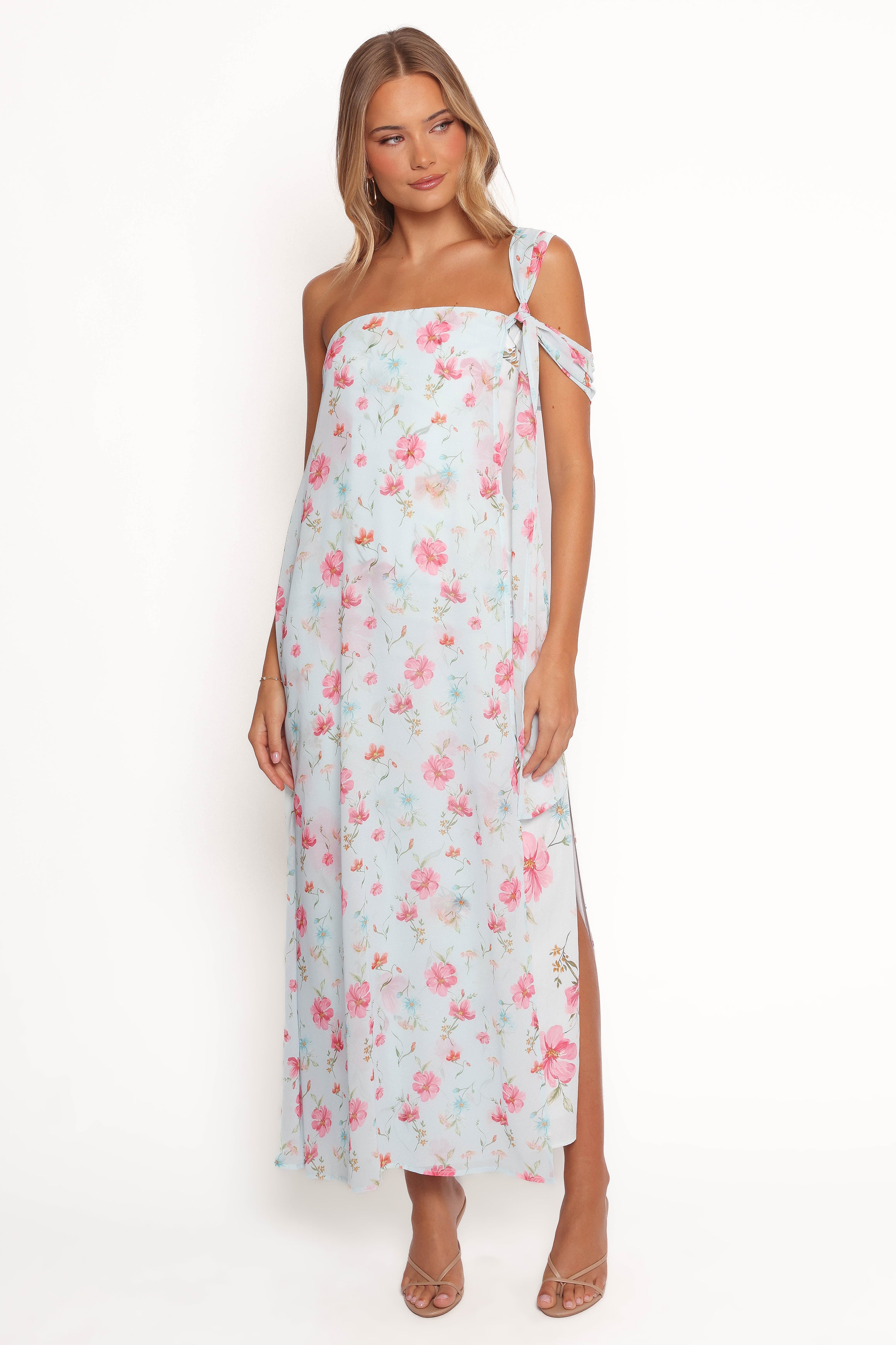 DRESSES Eloisa Maxi Dress - Blue Floral