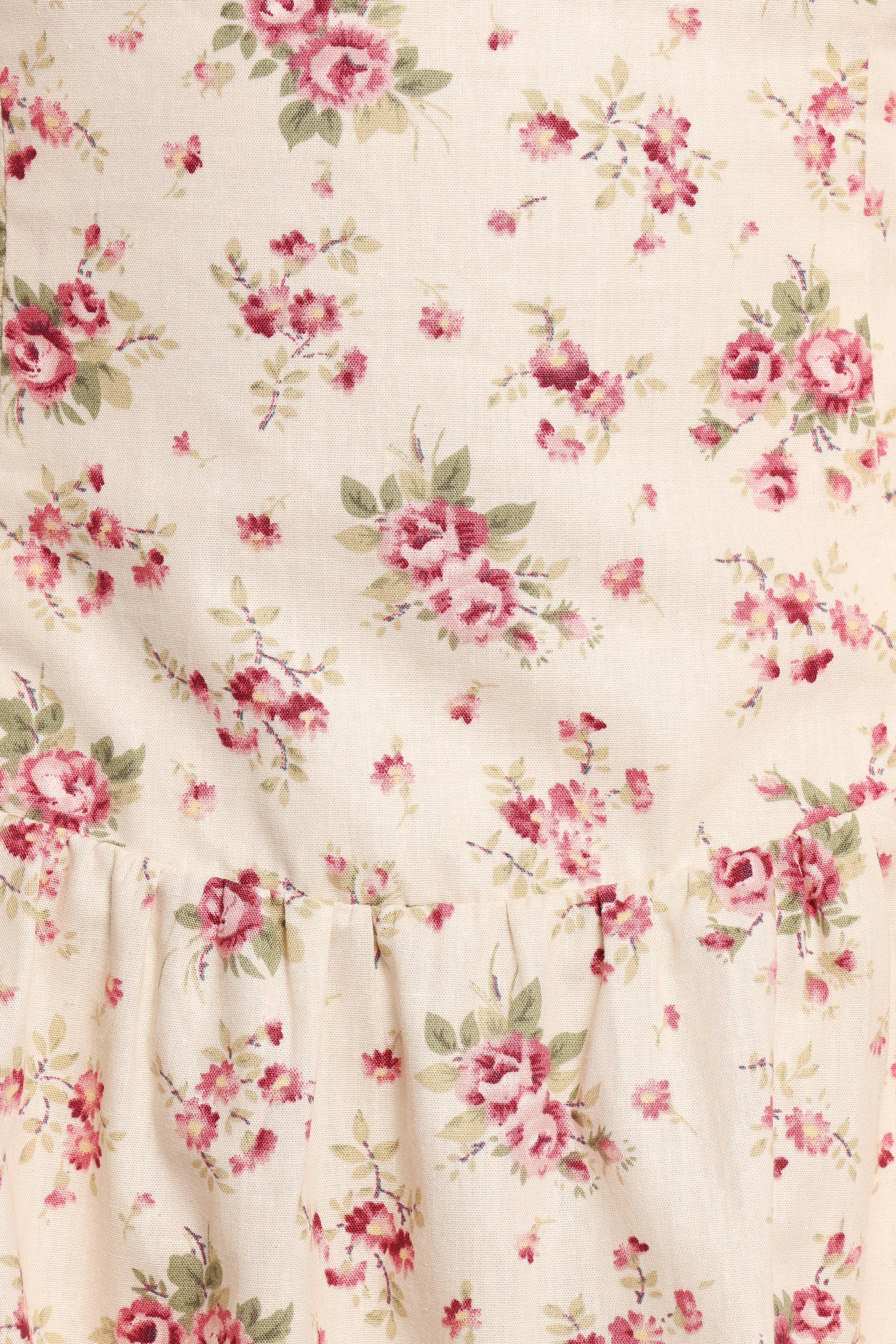DRESSES Isobelle Mini Dress - Red Floral