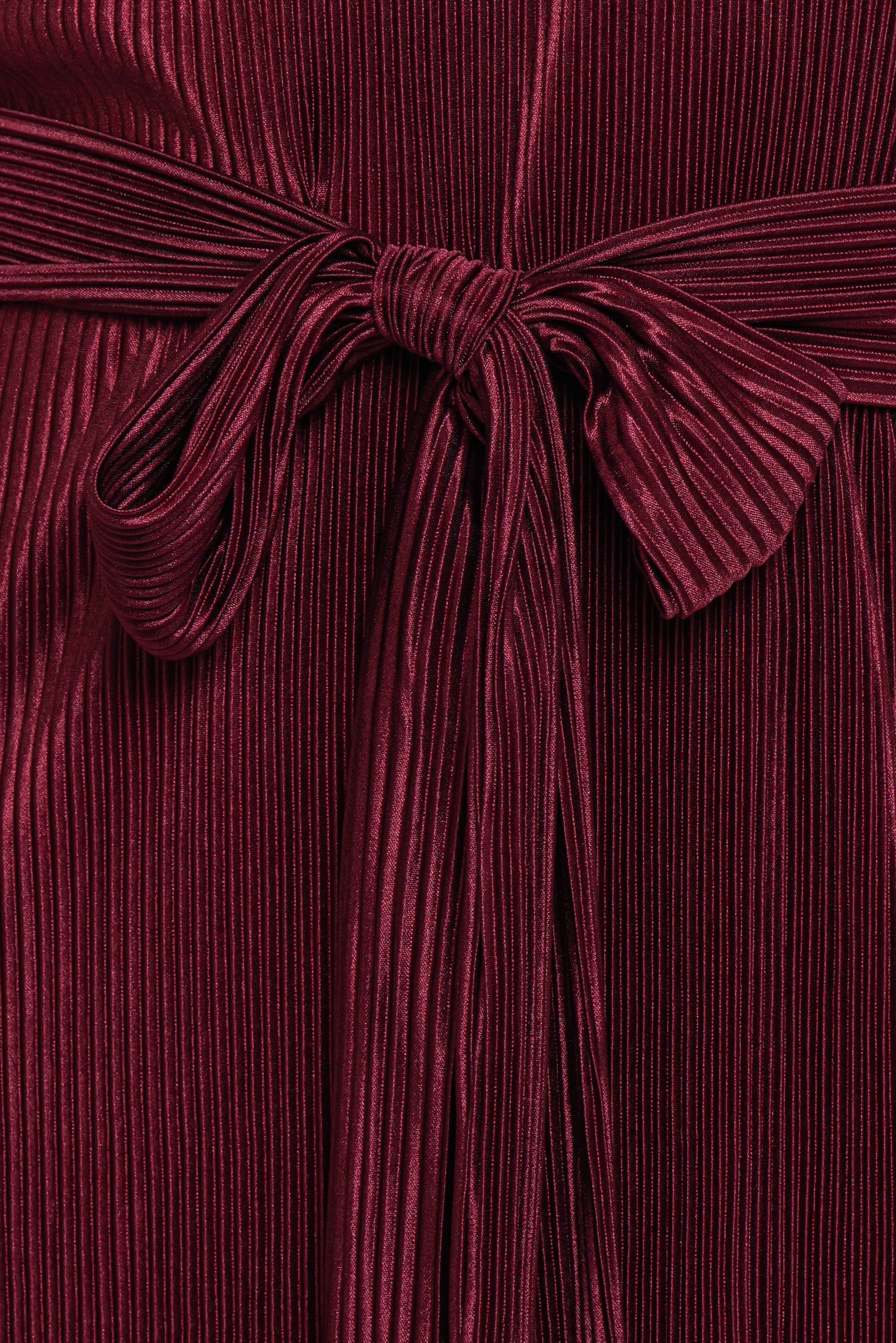 DRESSES Joy Plisse Mini Dress - Burgundy