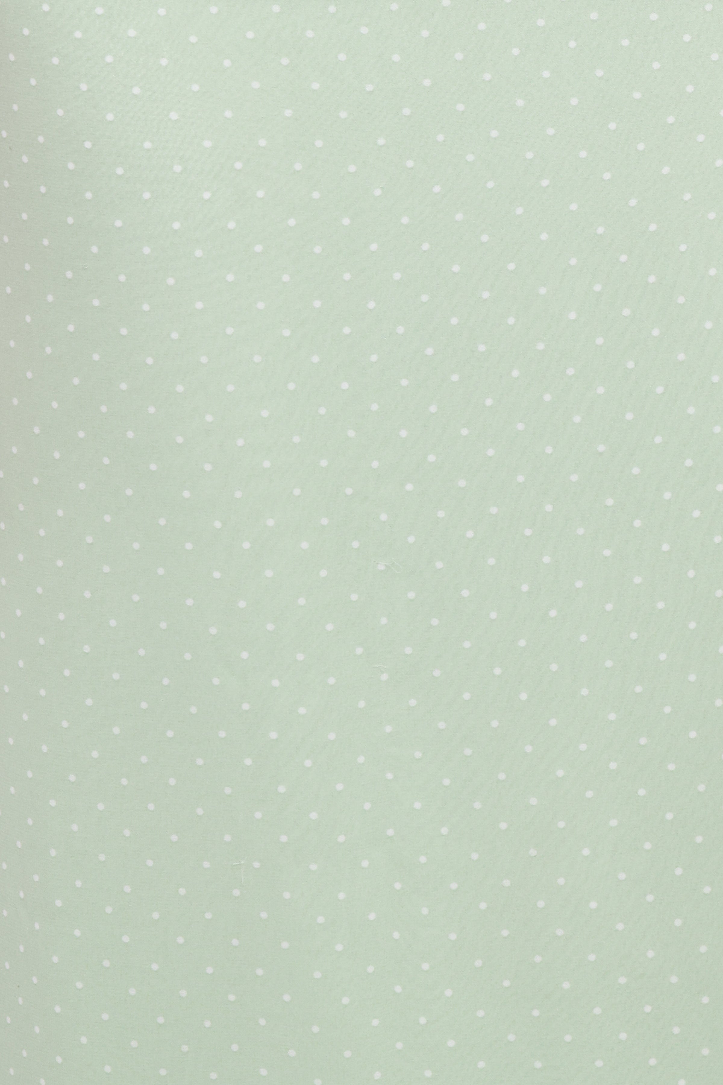 DRESSES Judy Maxi Dress - Mint Polka Dot