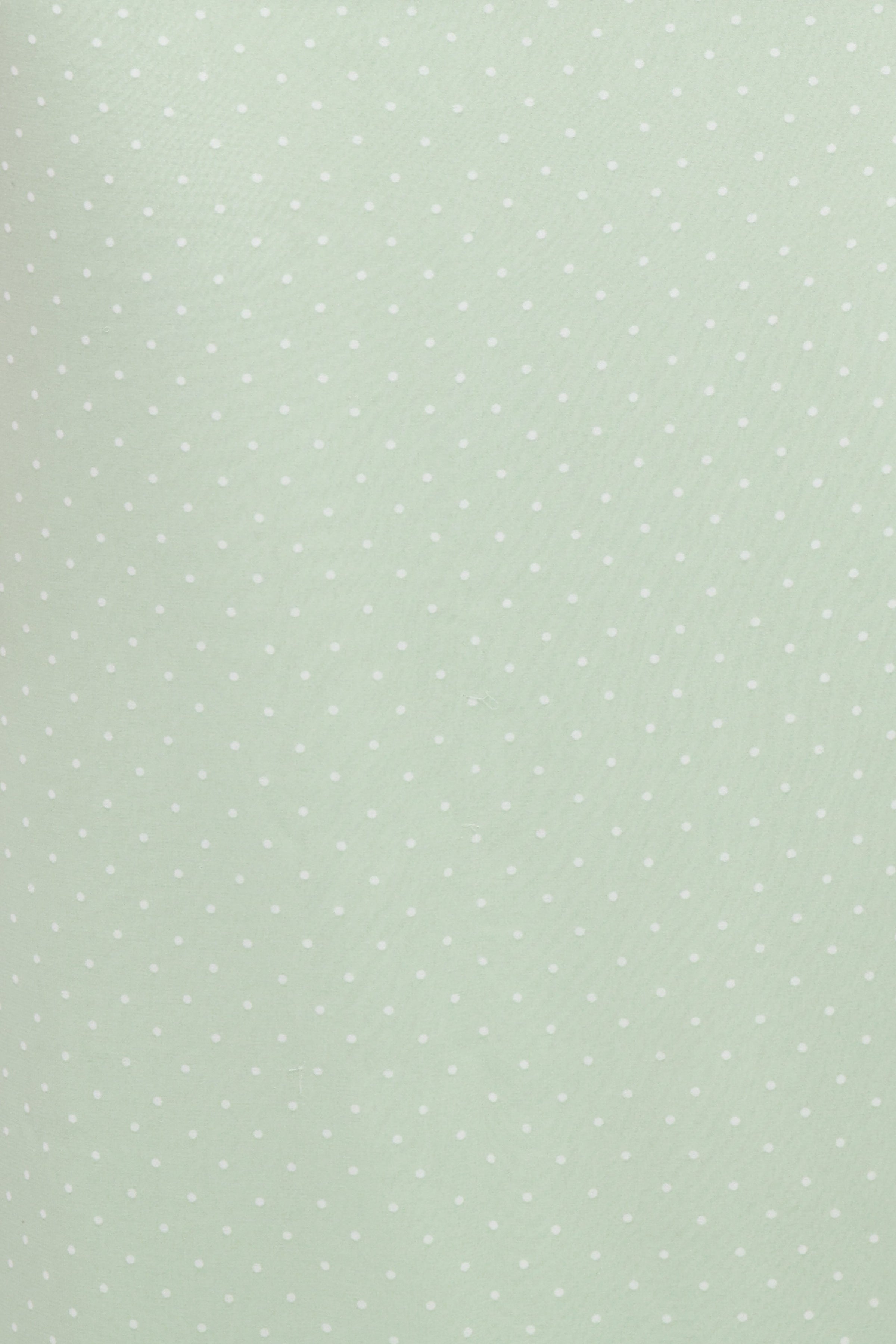 DRESSES Judy Maxi Dress - Mint Polka Dot