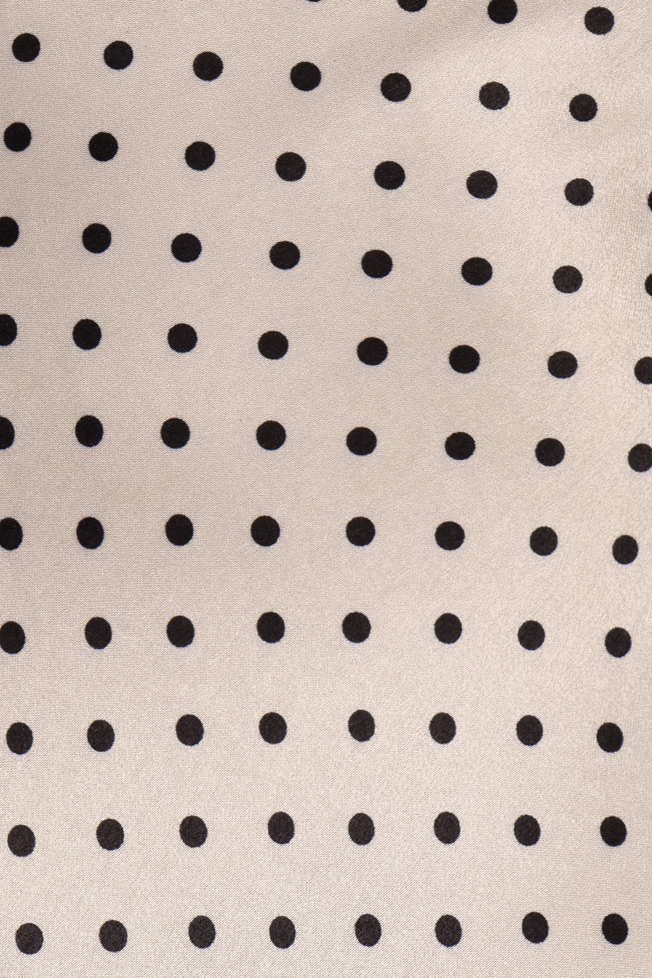 DRESSES Lizza Maxi Dress - White Polkadot