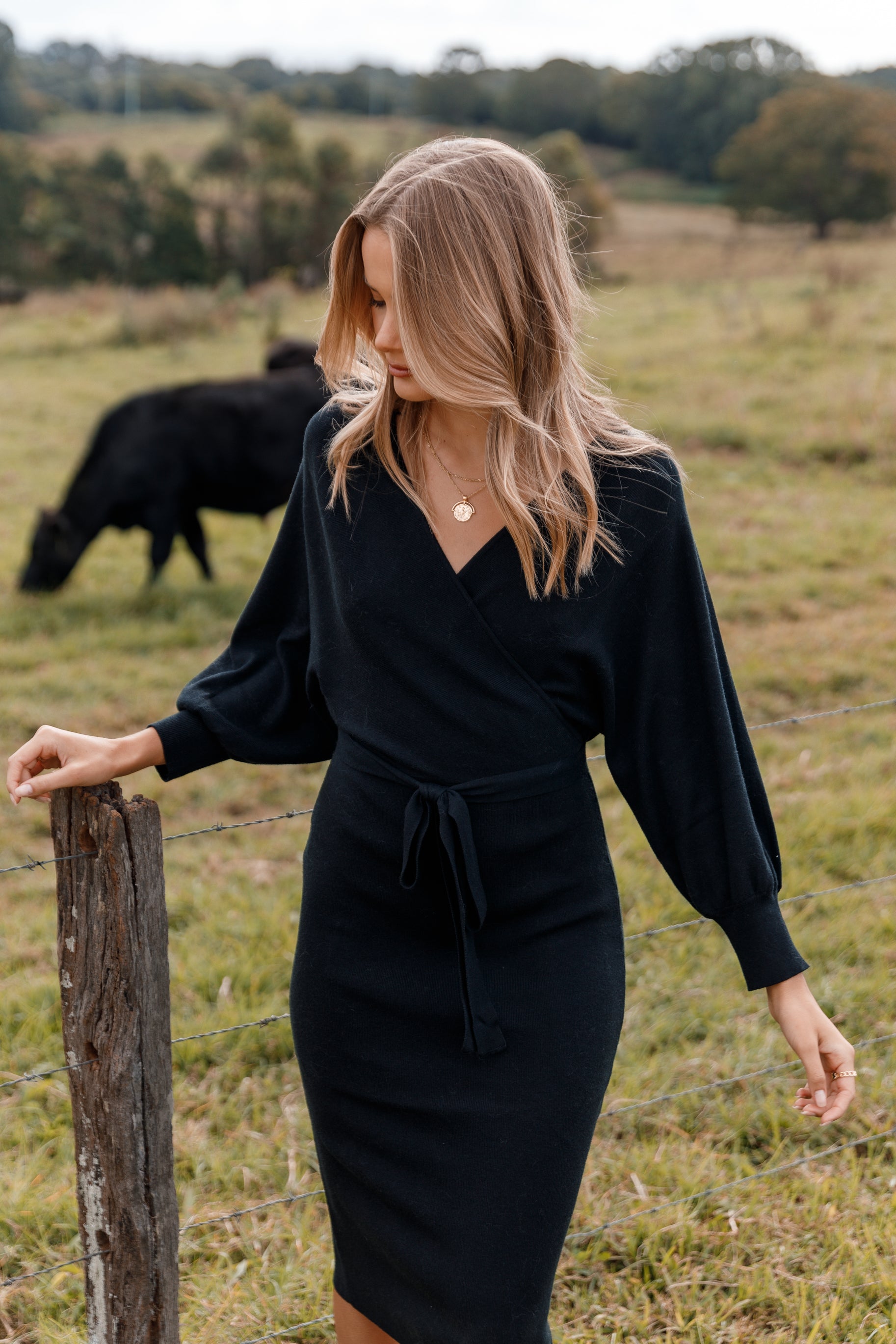Nate Dress - Black | Petal & Pup Nate Dress - Black | Petal & Pup