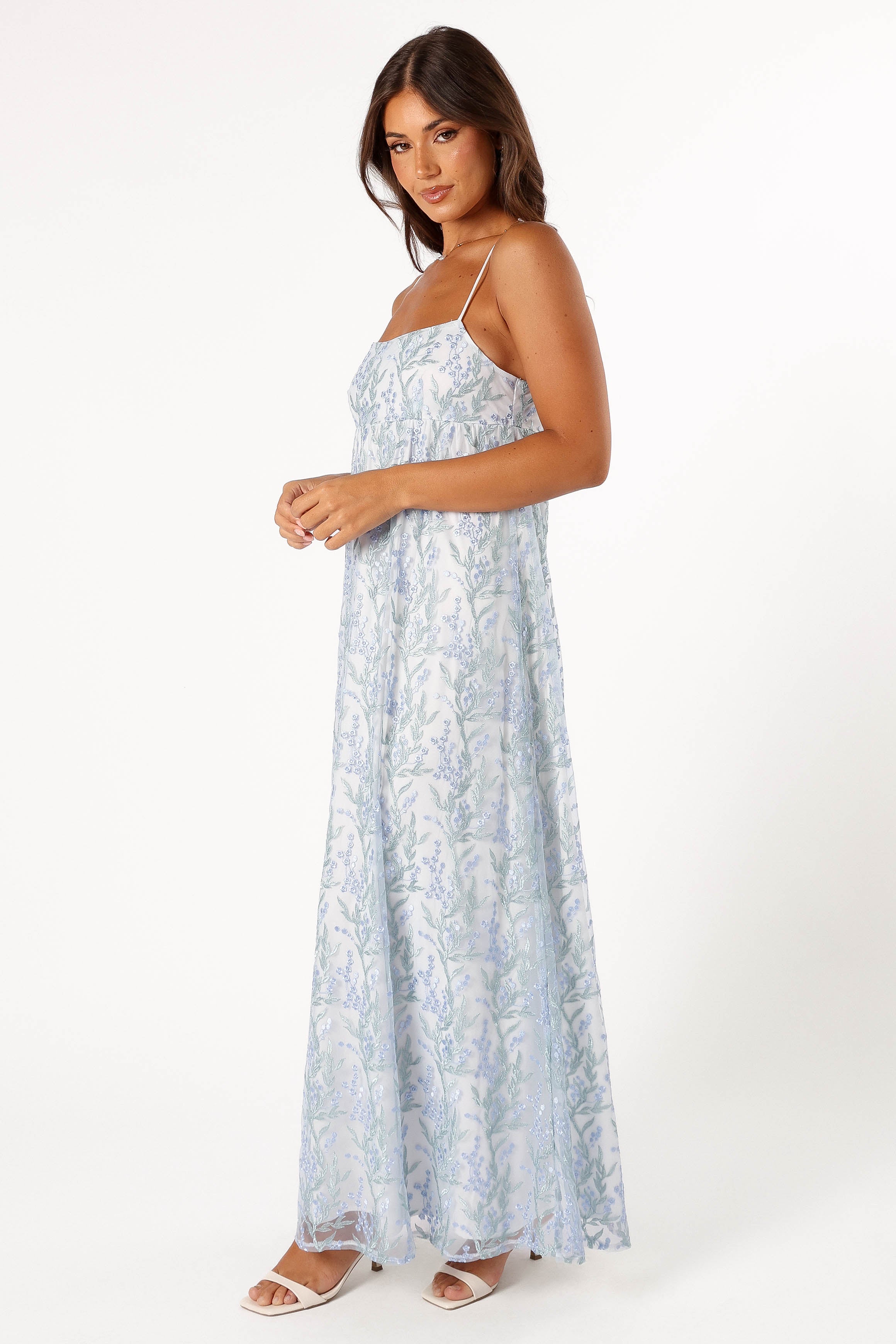 DRESSES @Nolan Maxi Dress - Blue Floral