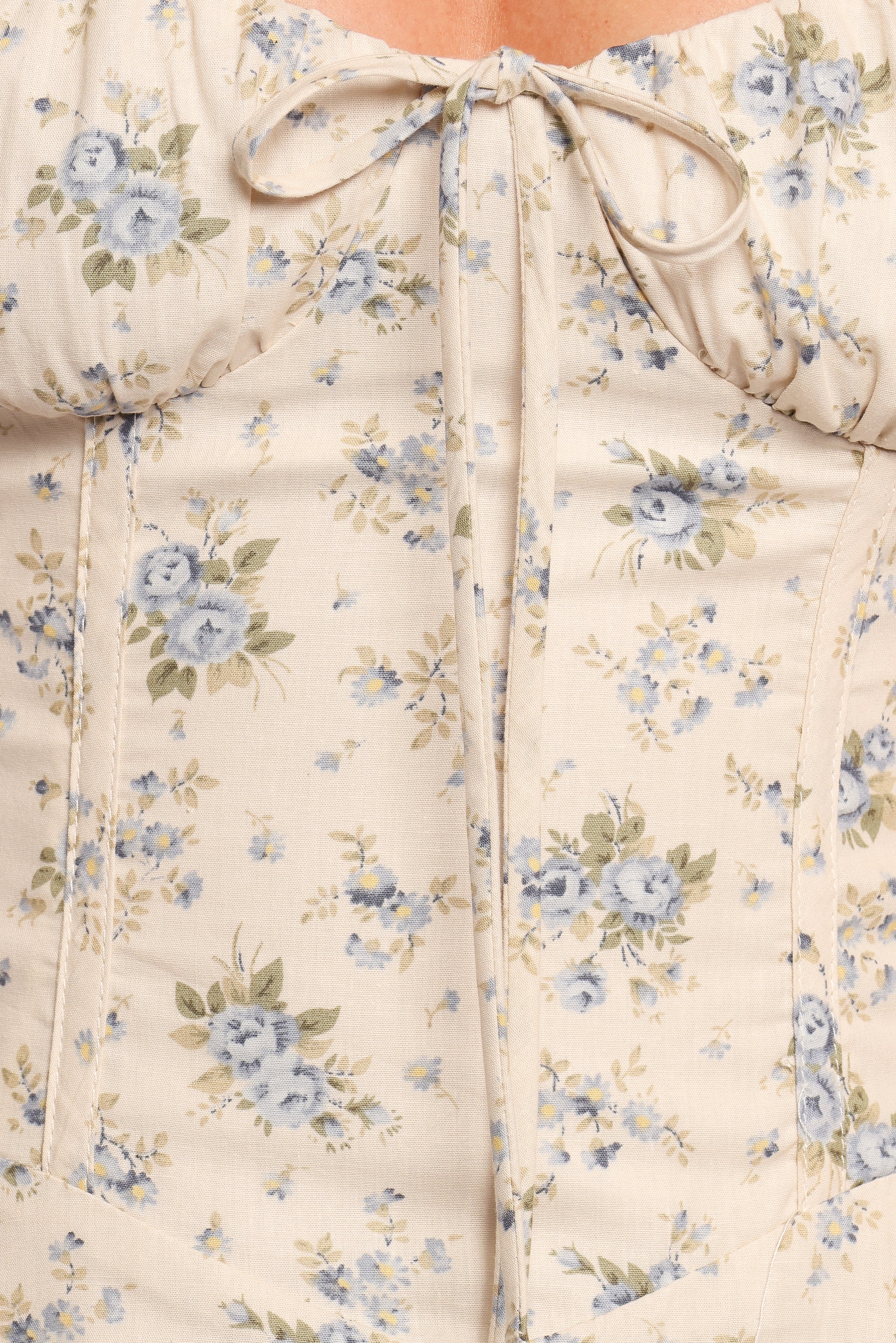 DRESSES Tiarna Maxi Dress - Blue Floral