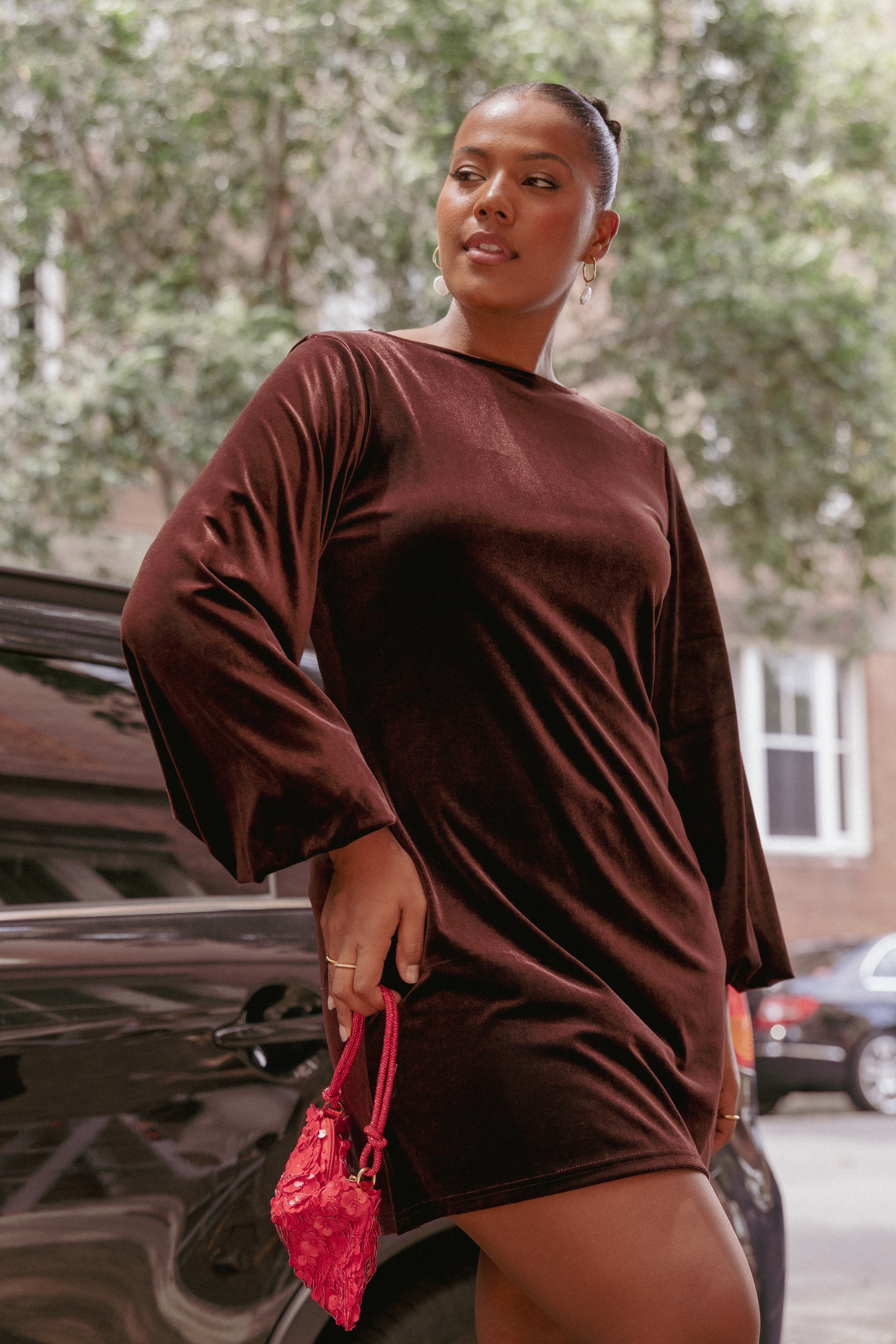 DRESSES Twylar Long Sleeve Velvet Mini Dress - Brown