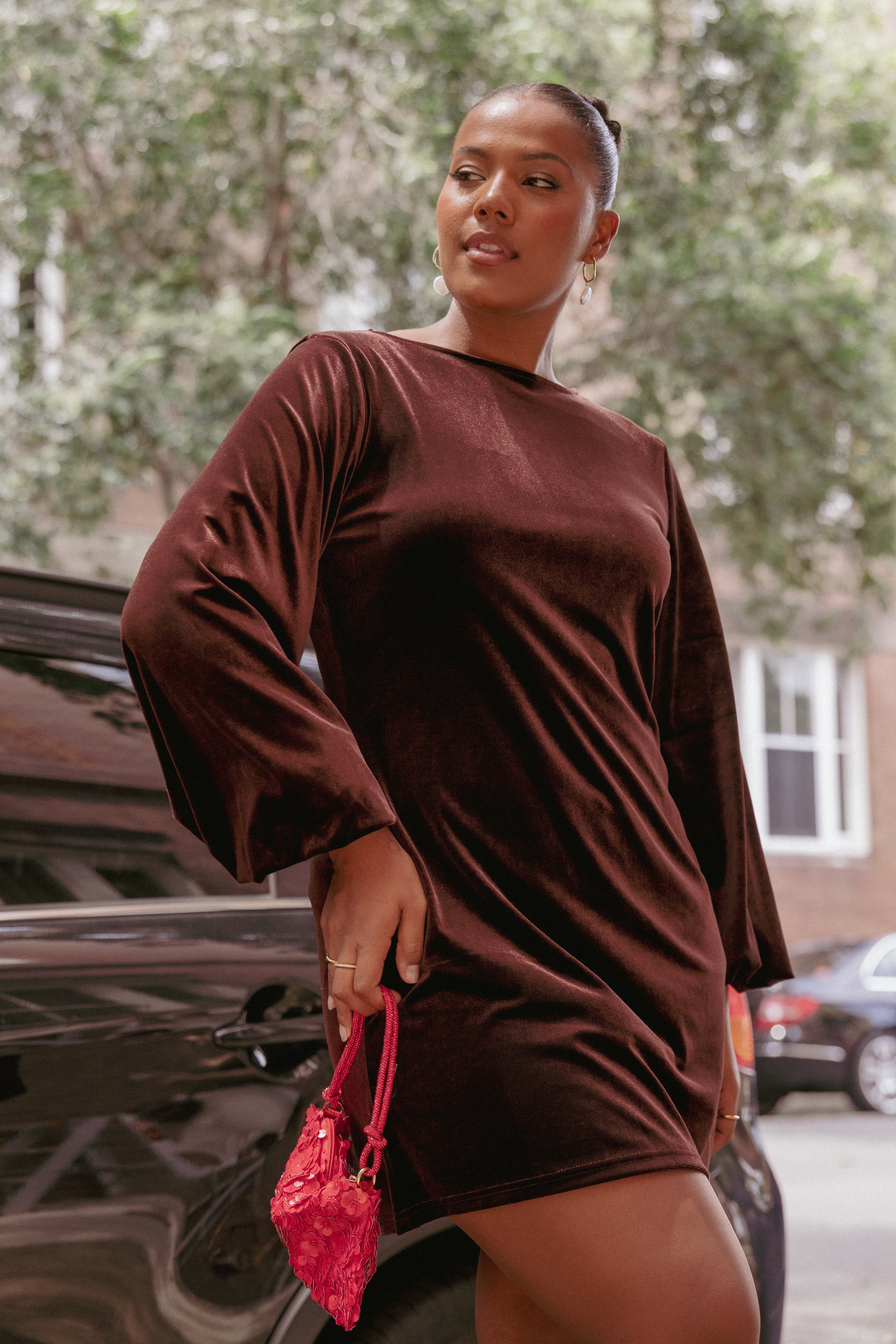 DRESSES Twylar Long Sleeve Velvet Mini Dress - Brown