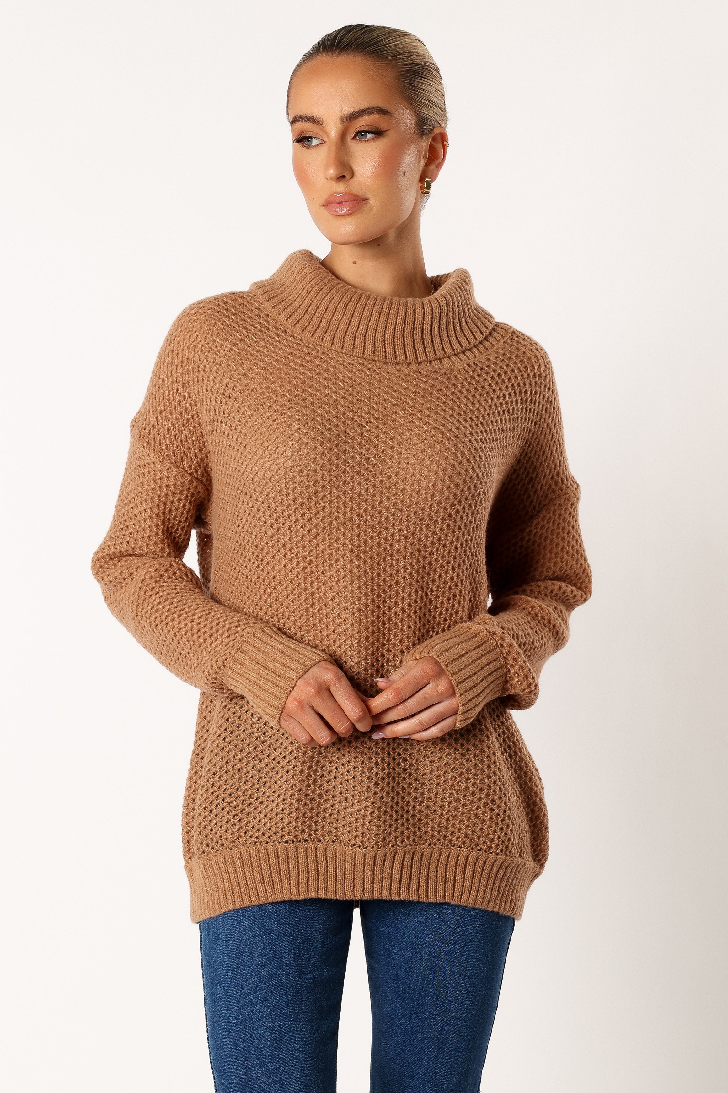 KNITWEAR @Rayne Turtleneck Knit Sweater - Beige