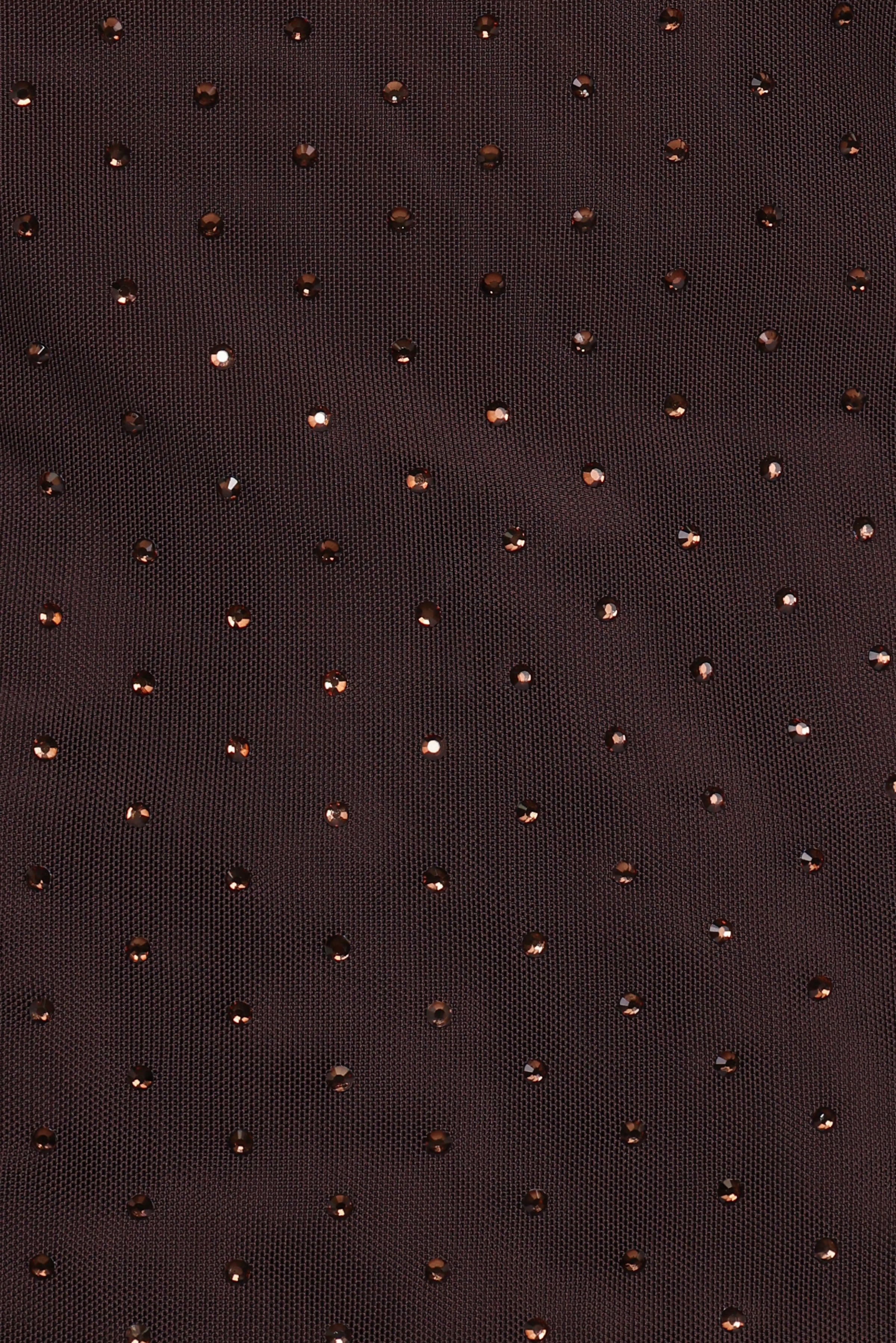 TOPS Alejandra Embellished Mesh Top - Dark Chocolate