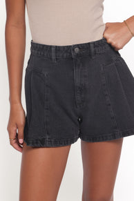 Abrand 94 Pleated Short - Shanae