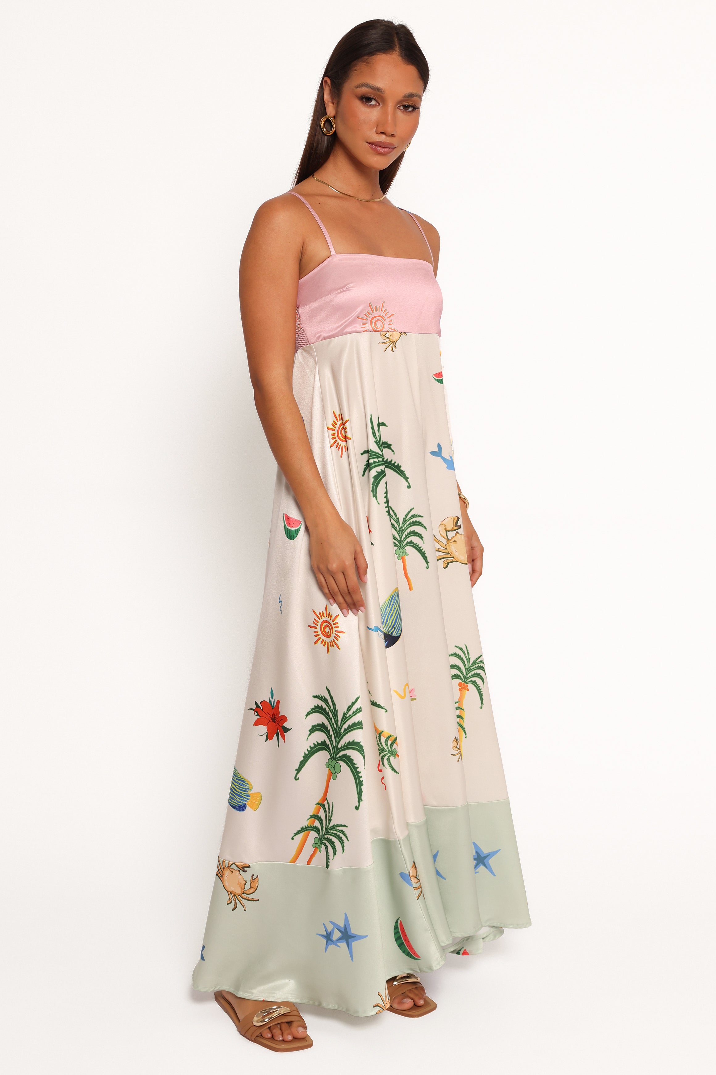 Daplyn Maxi Dress - Multi