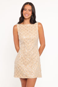 Pasha Mini Dress - Mango Sequin