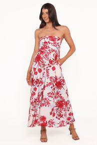 Terri Midi Dress - Fuchsia Floral