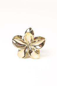 Tiarne Hair Clip - Gold
