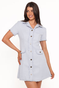Travistine Mini Dress - Blue