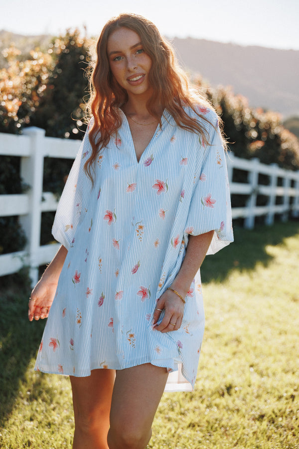 DRESSES Doran Mini Dress - Blue Garden Stripe