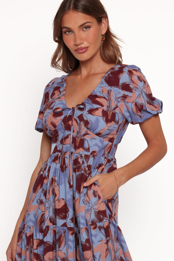 DRESSES Roberts Maxi Dress - Blue Floral
