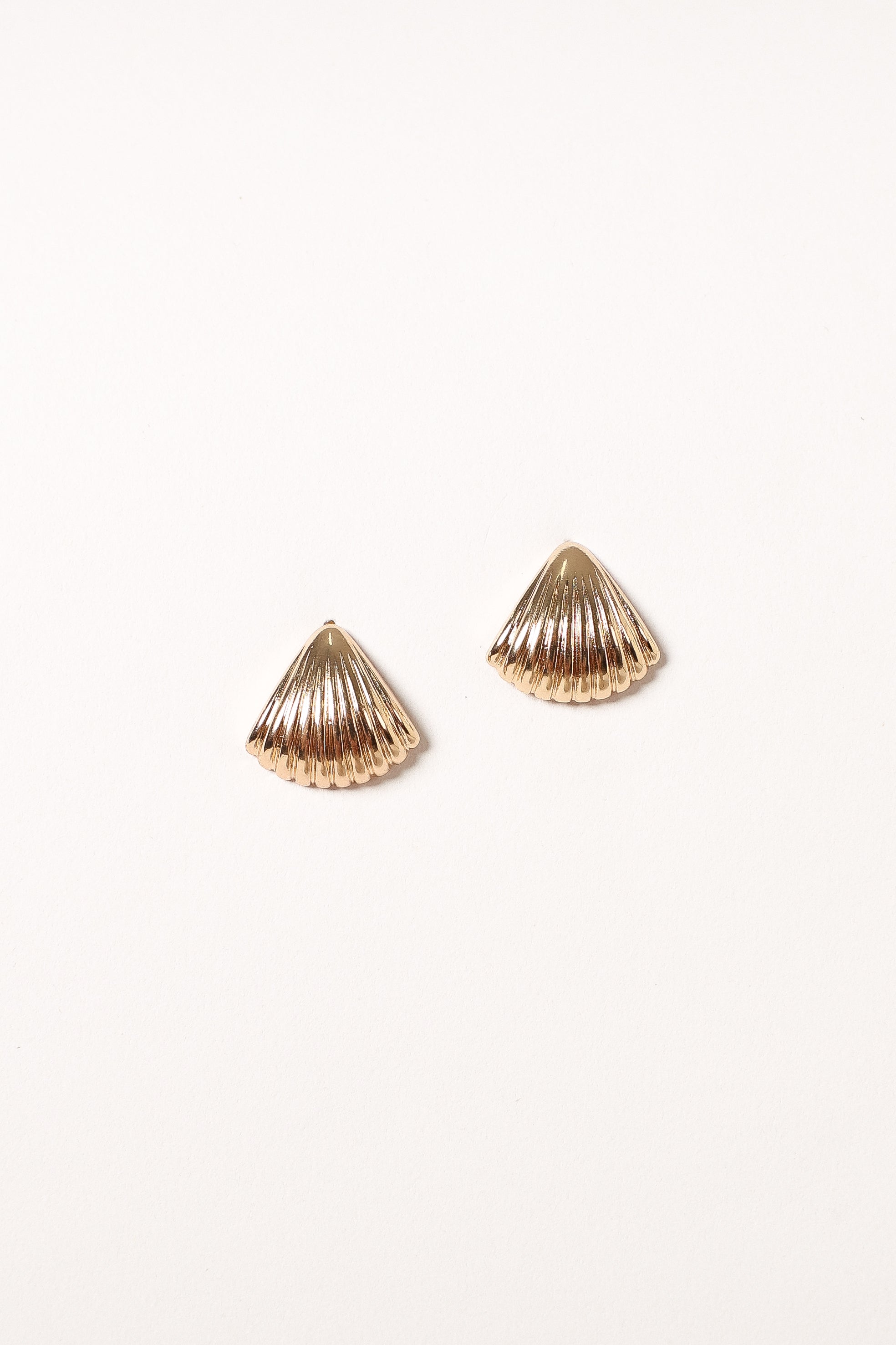 Shell shaped store earrings