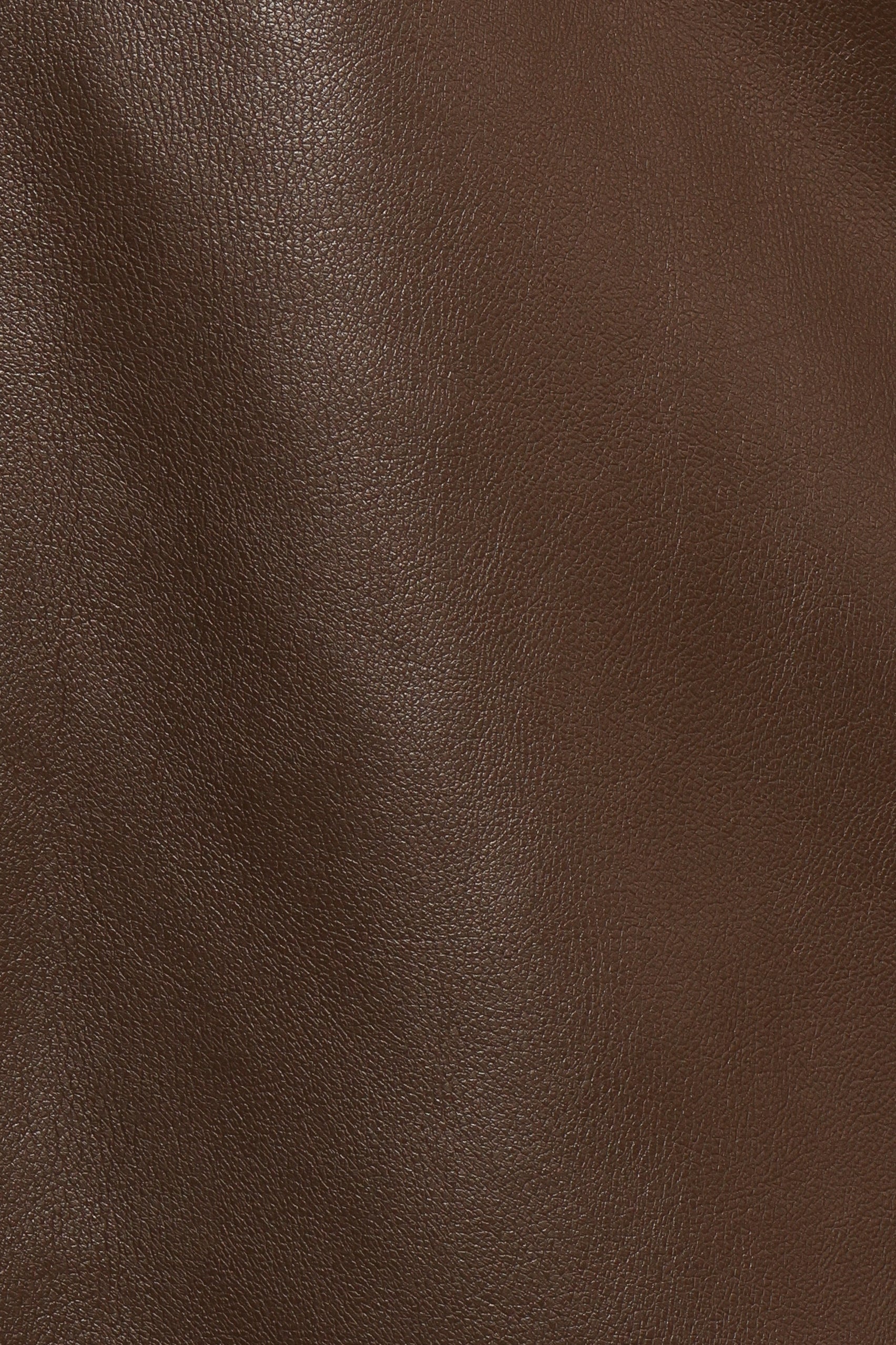 BOTTOMS Haelee Faux Leather Skirt - Brown