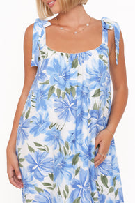 DRESSES Amber Maxi Dress - Blue Floral
