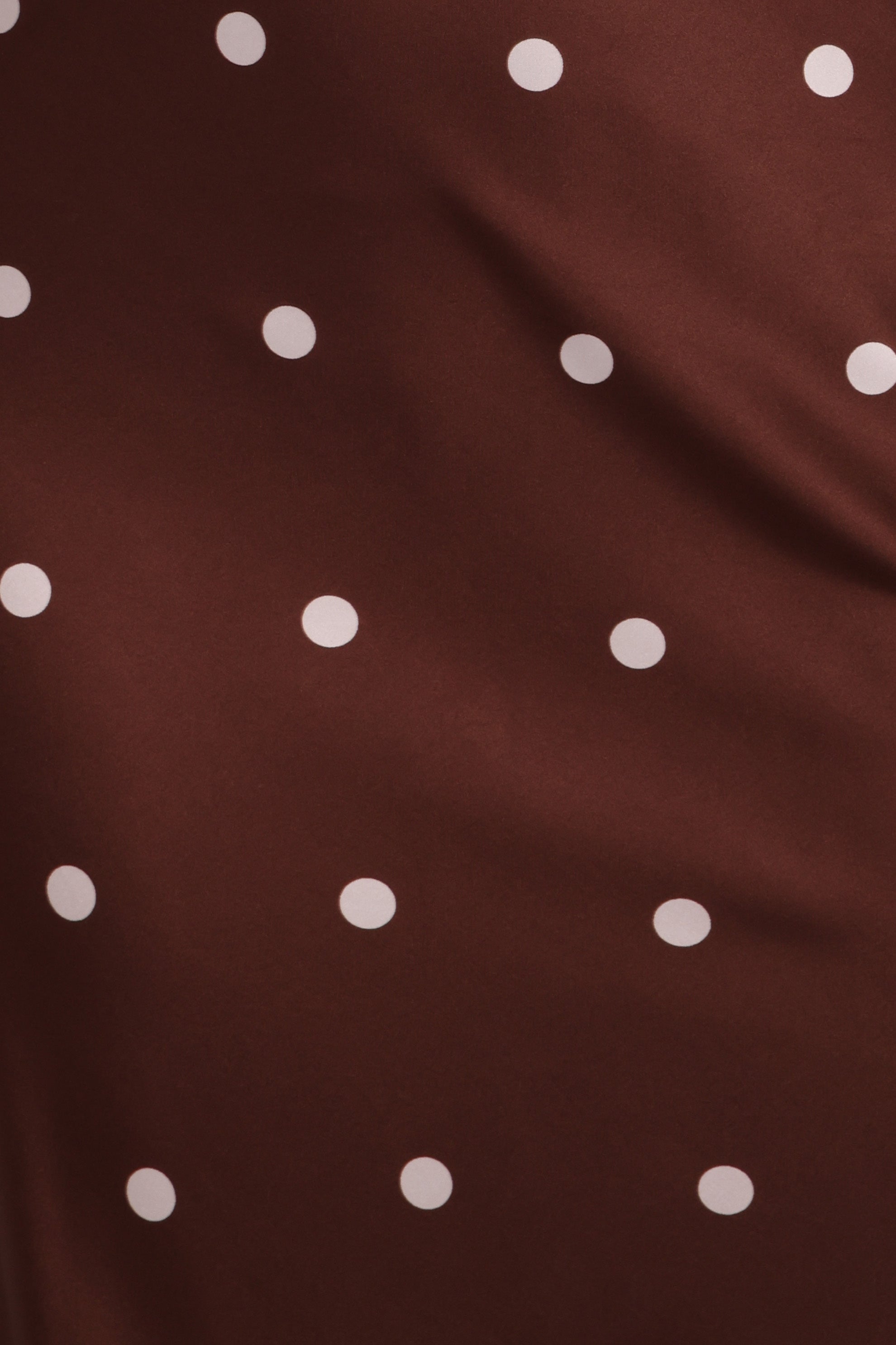 DRESSES Anika Maxi Dress - Brown Polka Dot