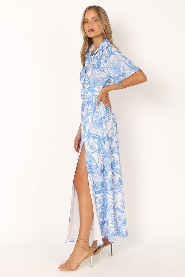 DRESSES @Arianna Maxi Dress - Blue Floral