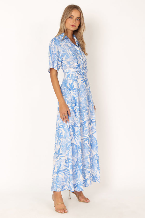 DRESSES @Arianna Maxi Dress - Blue Floral