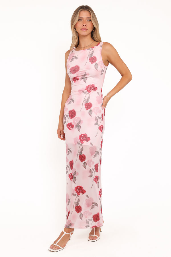 DRESSES Brissa Maxi Dress - Pink Floral