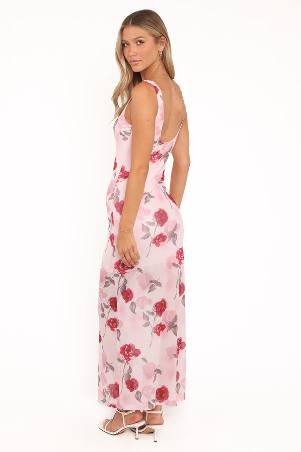 DRESSES Brissa Maxi Dress - Pink Floral