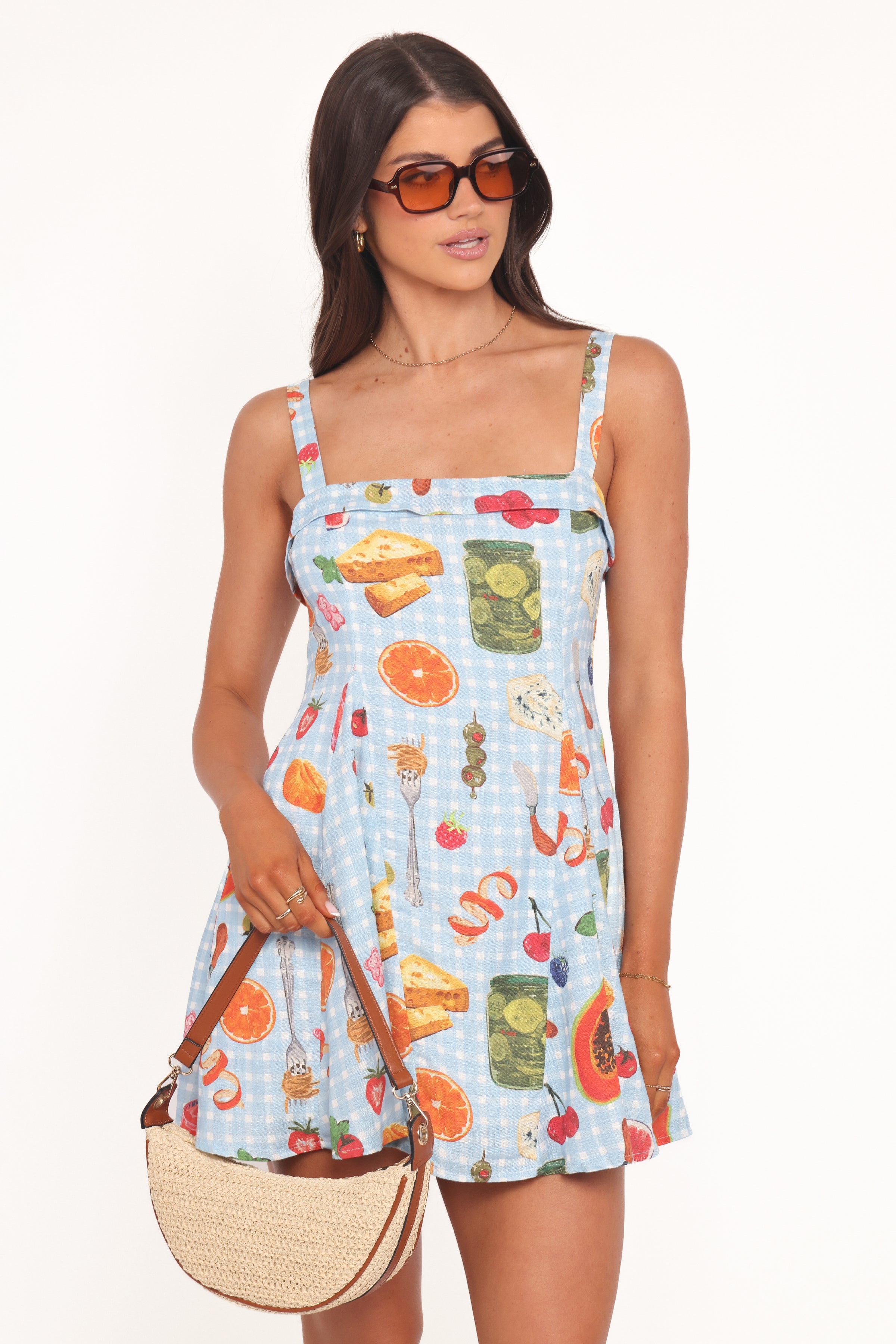 DRESSES Caitlin Mini Dress - Blue Picnic