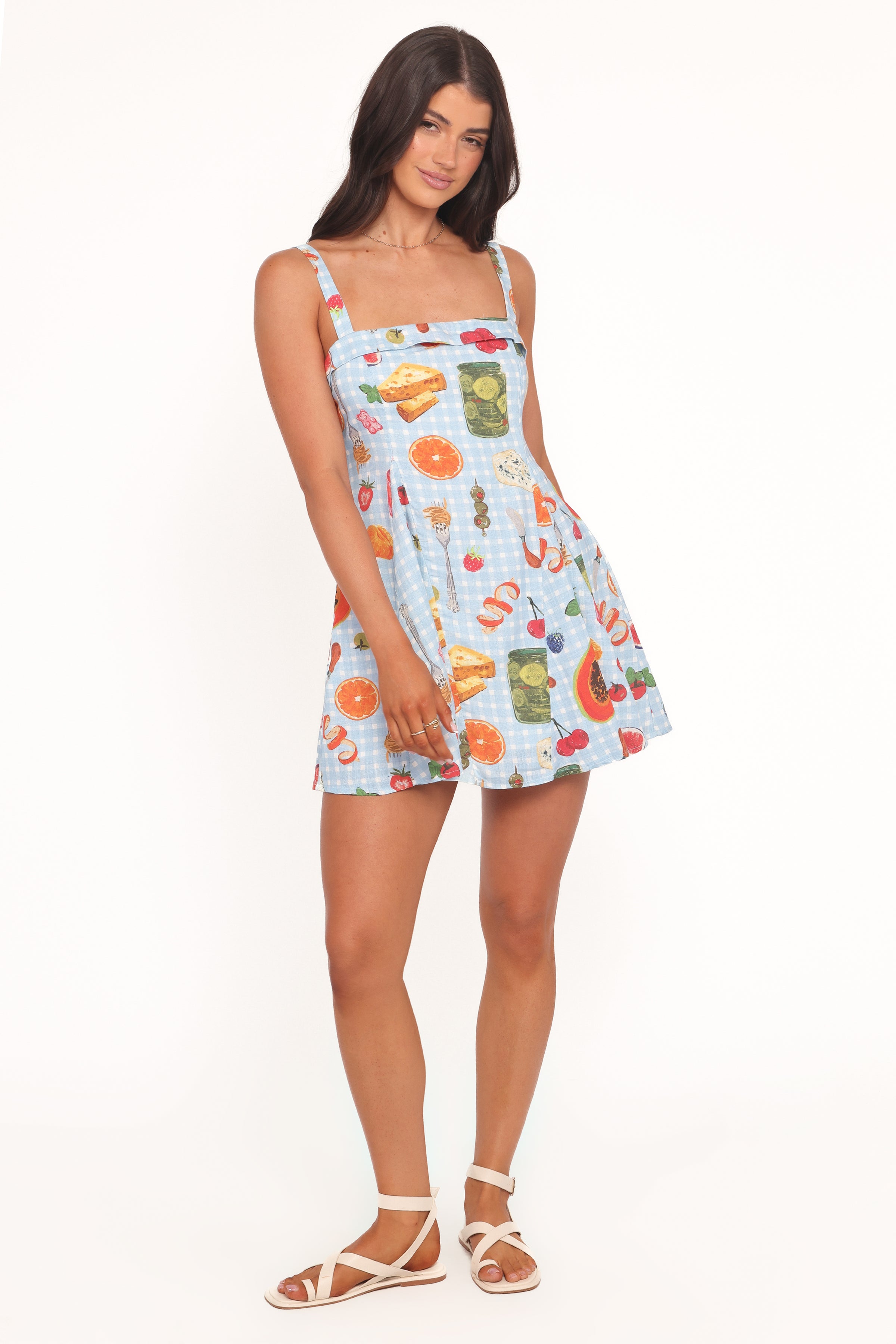 DRESSES Caitlin Mini Dress - Blue Picnic