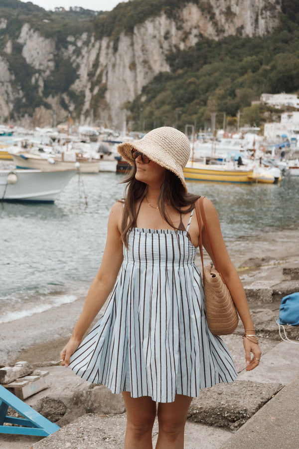 DRESSES Cole Mini Dress - Blue/Brown Stripe