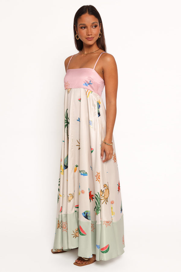 DRESSES Daplyn Maxi Dress - Multi