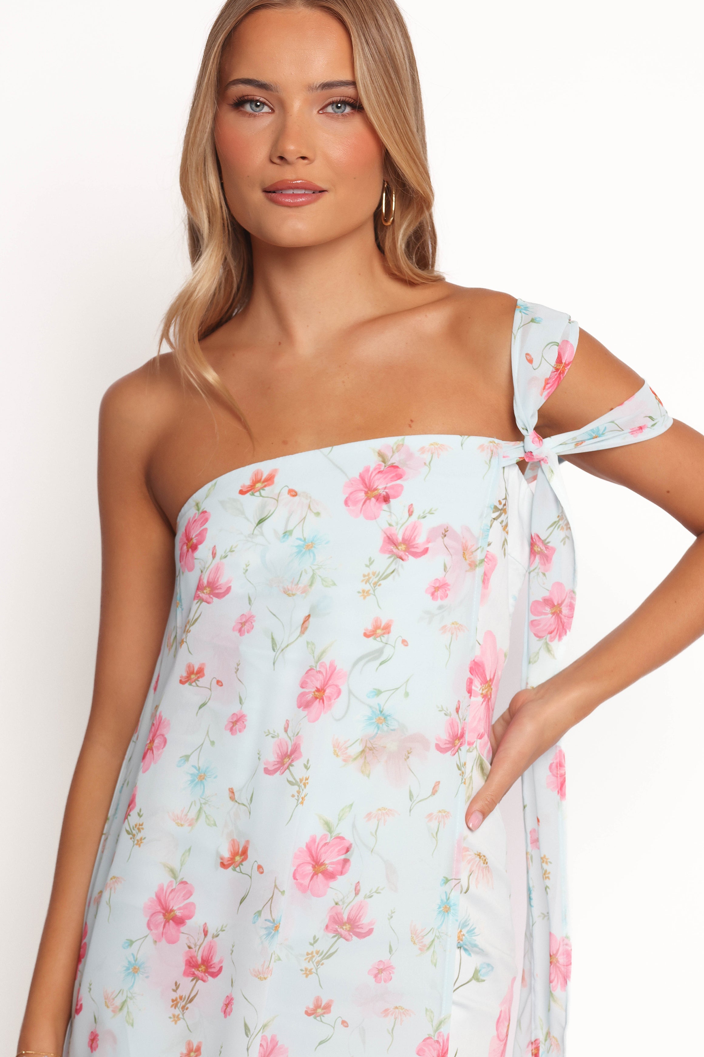 DRESSES Eloisa Maxi Dress - Blue Floral