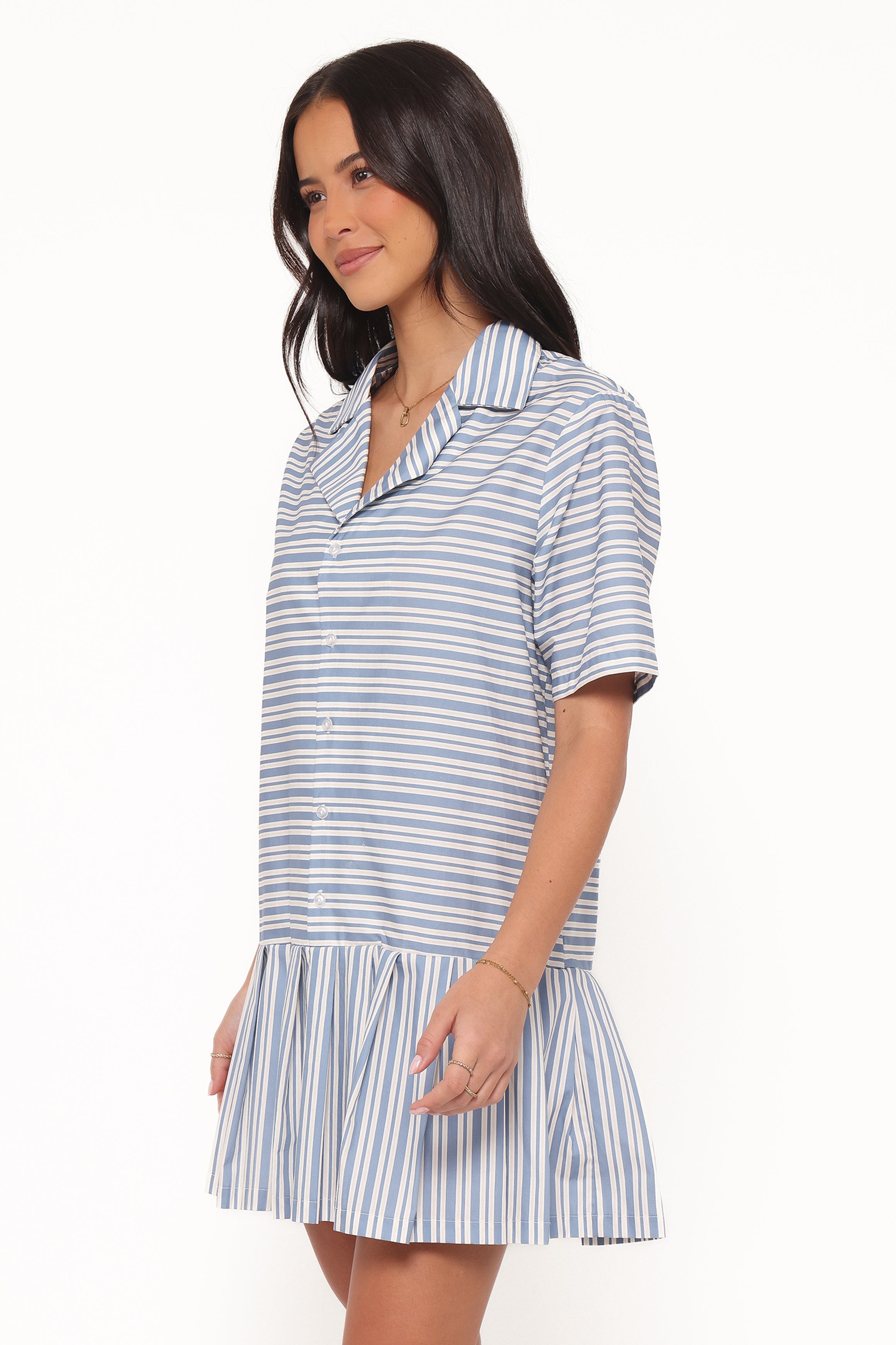 DRESSES Fraser Mini Dress - Blue Stripe