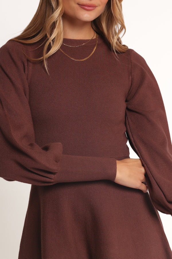 DRESSES Gigi Long Sleeve Mini Dress - Brown