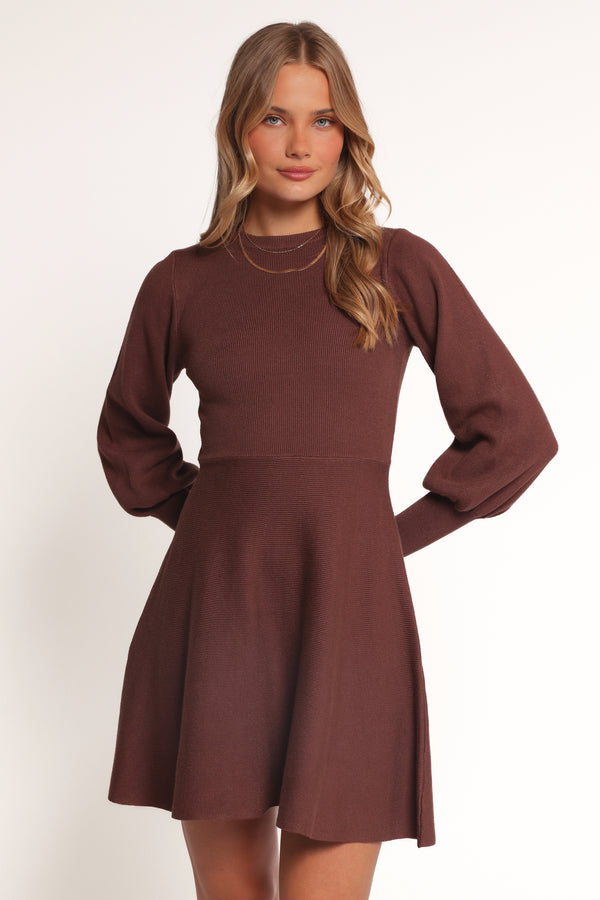 DRESSES Gigi Long Sleeve Mini Dress - Brown