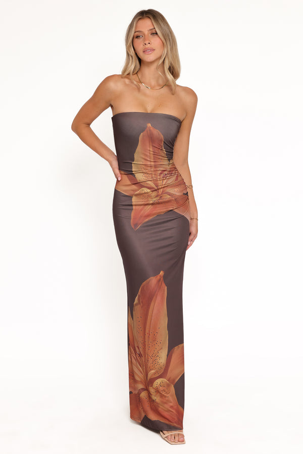 DRESSES Ginny Strapless Maxi Dress - Brown
