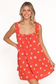 DRESSES Hyacinth Mini Dress - Daisy Meadow