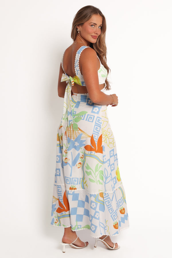 DRESSES Janina Maxi Dress - Multi Print