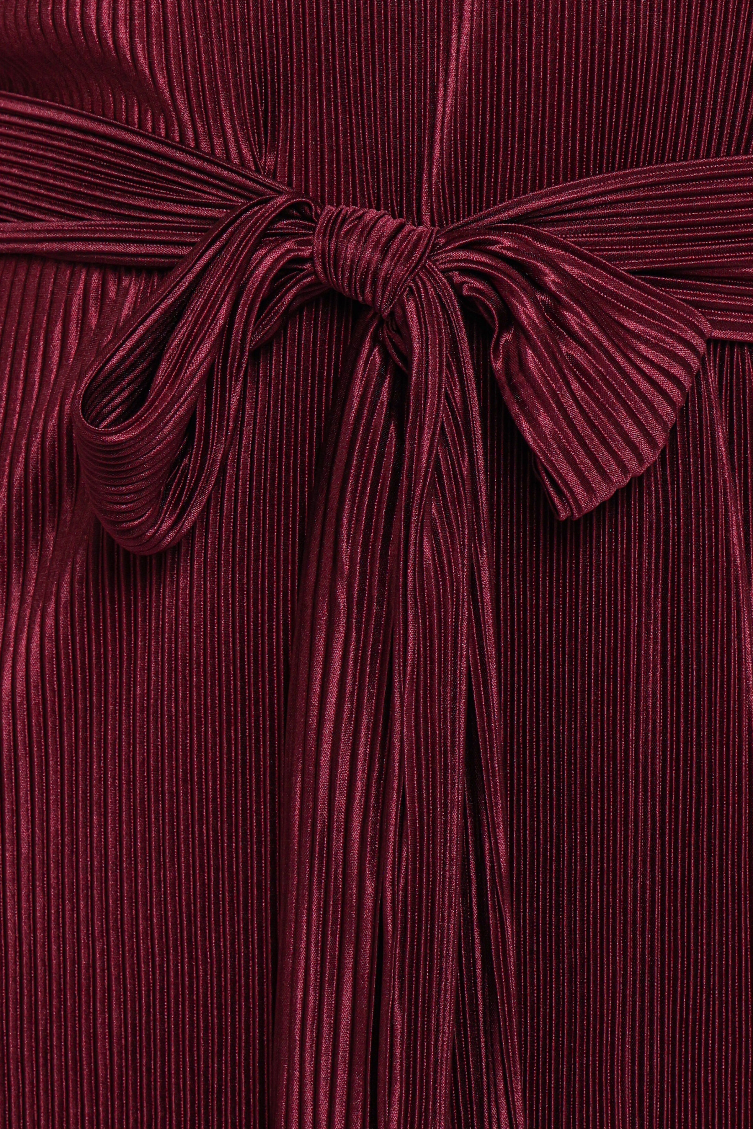 DRESSES Joy Plisse Mini Dress - Burgundy