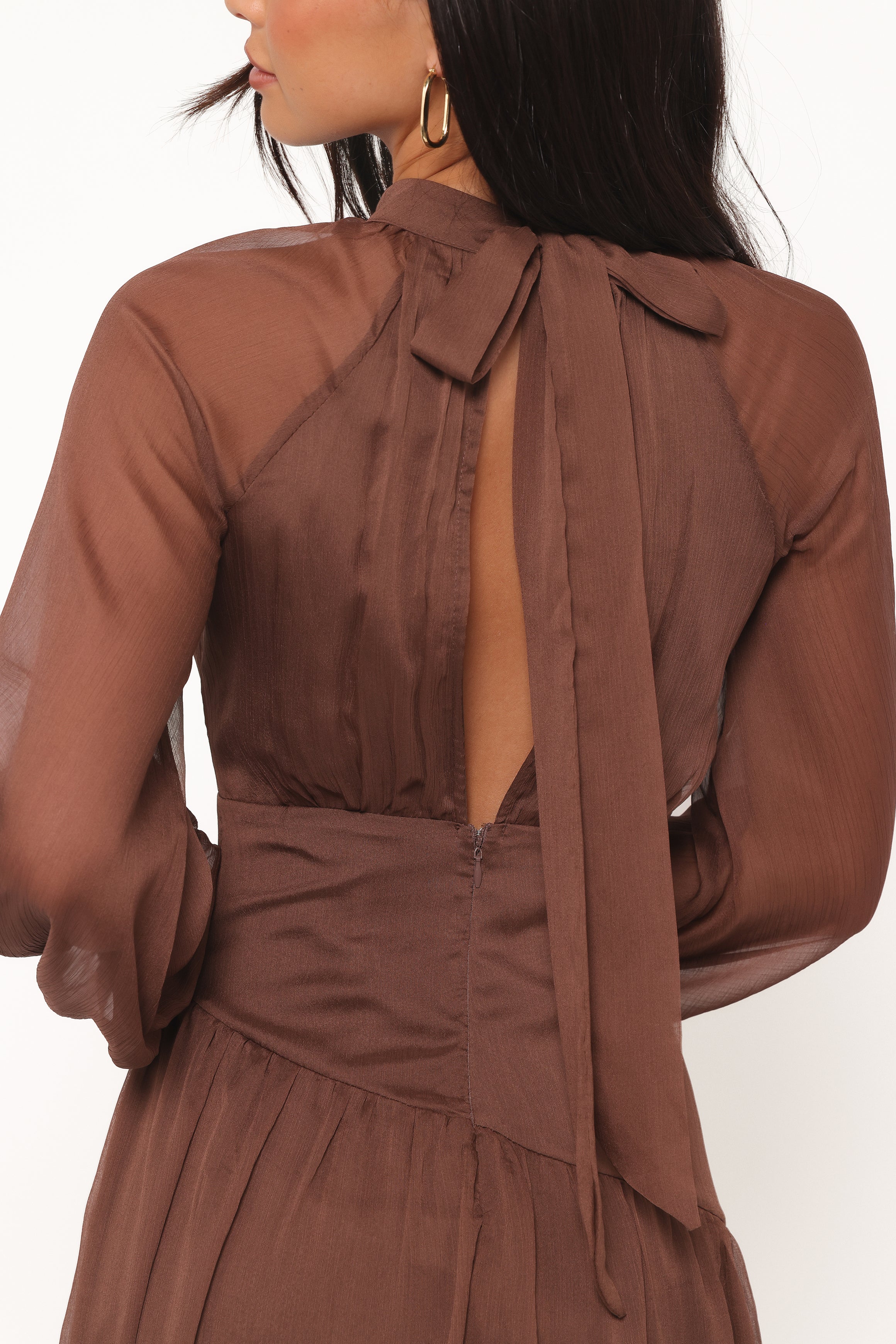 DRESSES Julip Sheer Long Sleeve Maxi Dress - Brown